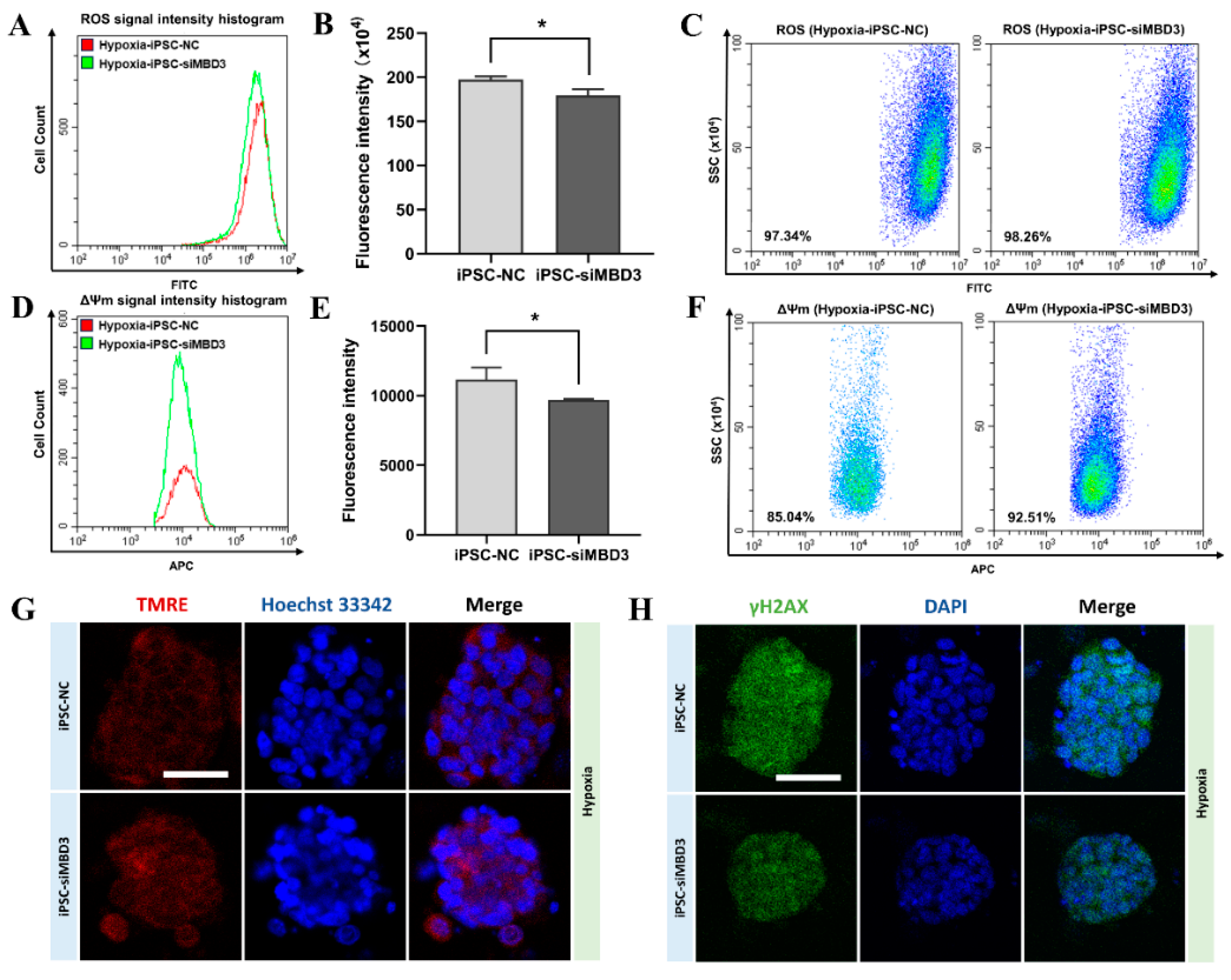 Preprints 147247 g005