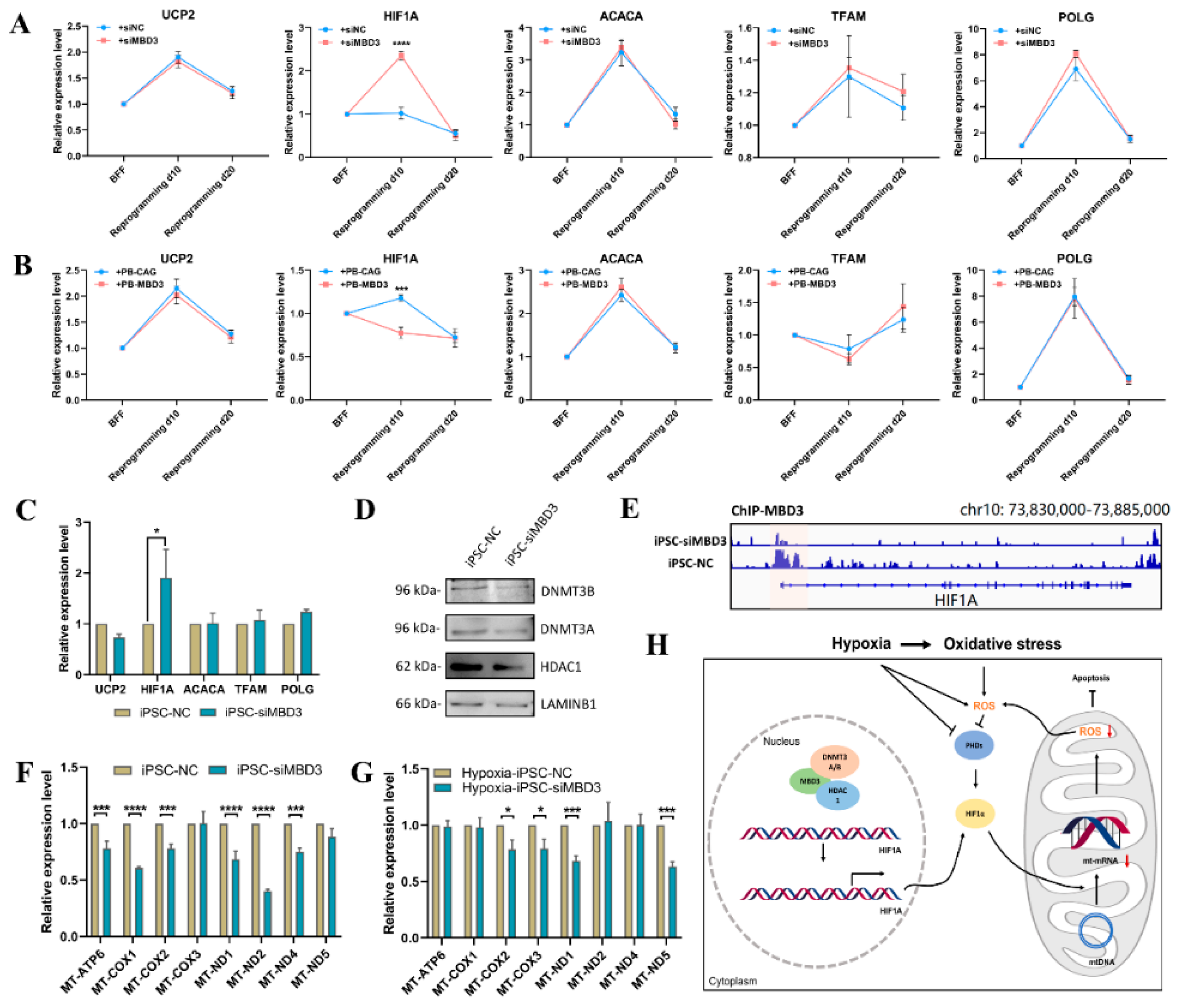 Preprints 147247 g006