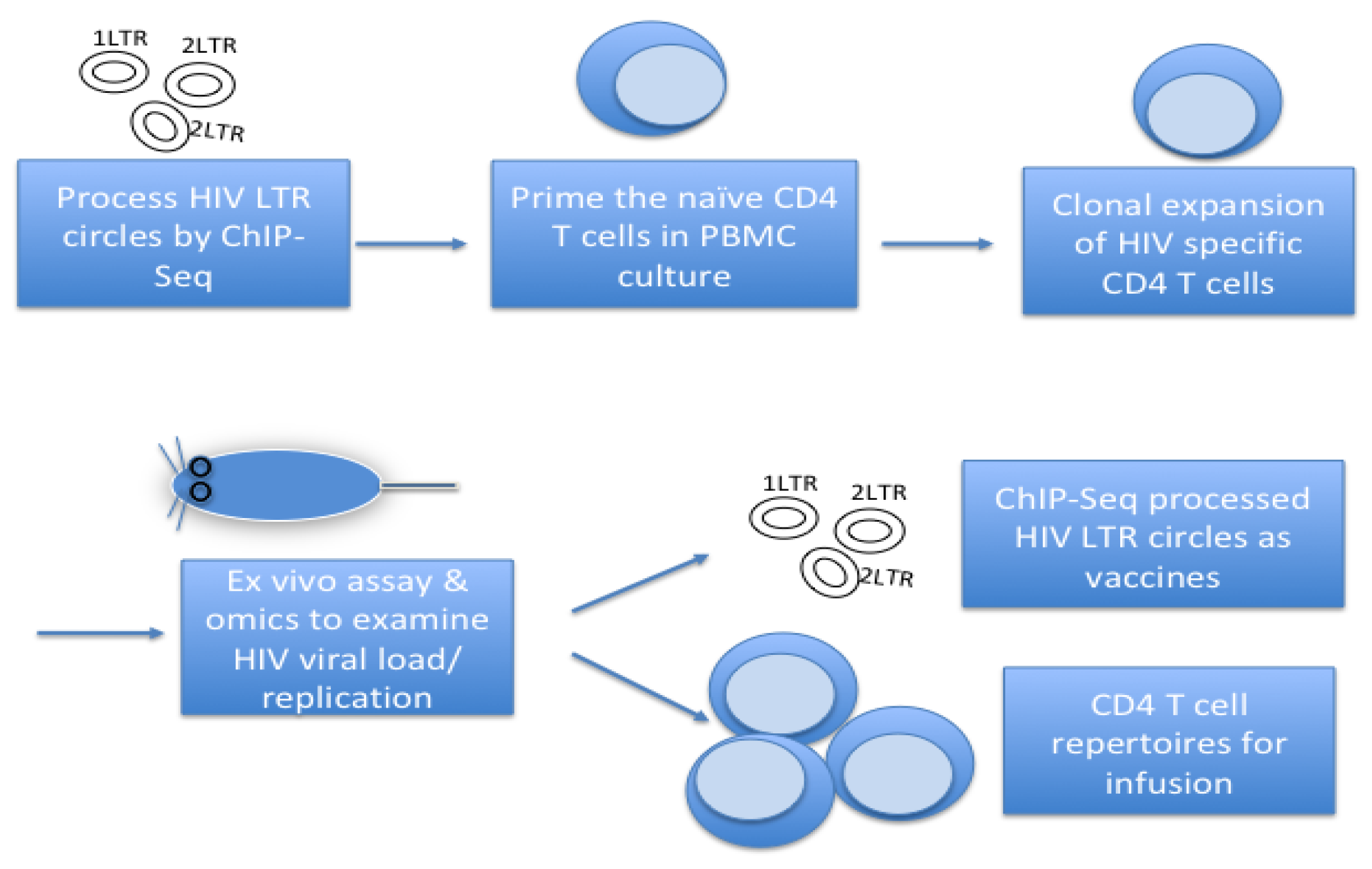 Preprints 159035 g001