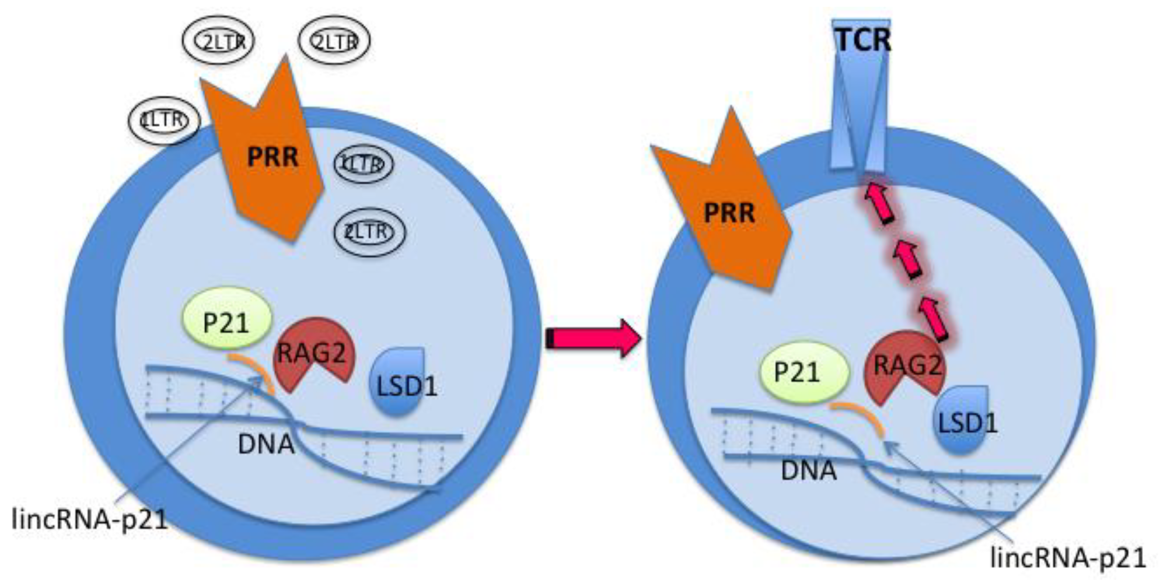 Preprints 159035 g002