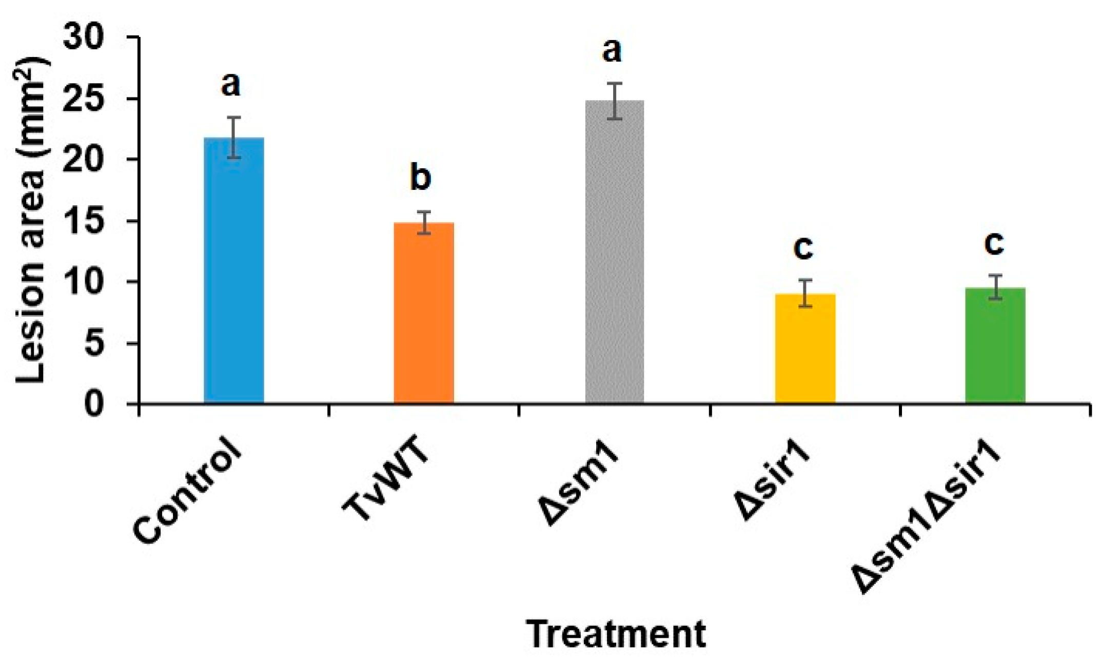 Preprints 101897 g001