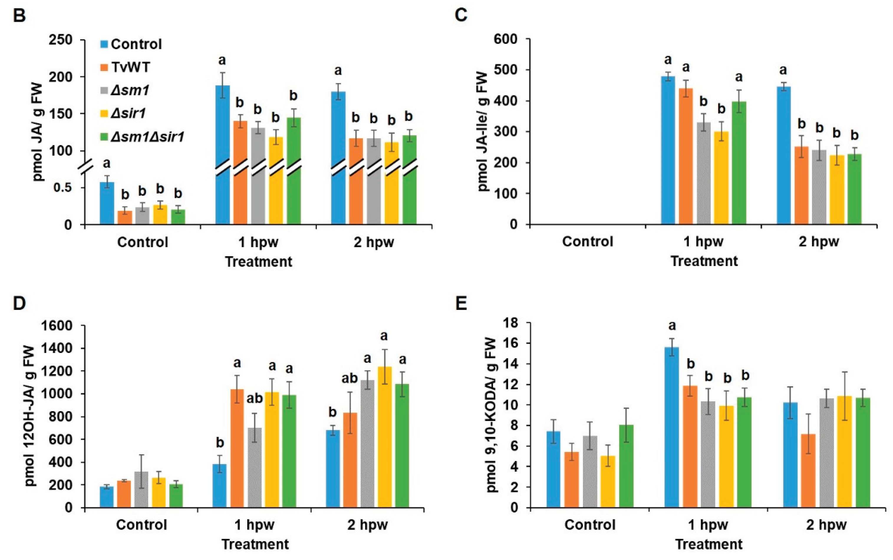 Preprints 101897 g003b