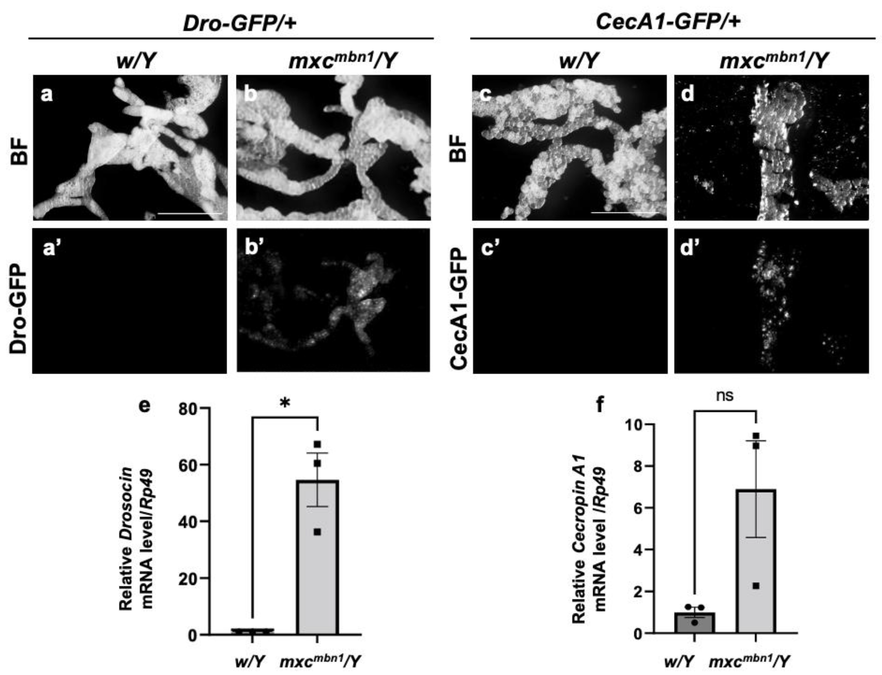 Preprints 147847 g001
