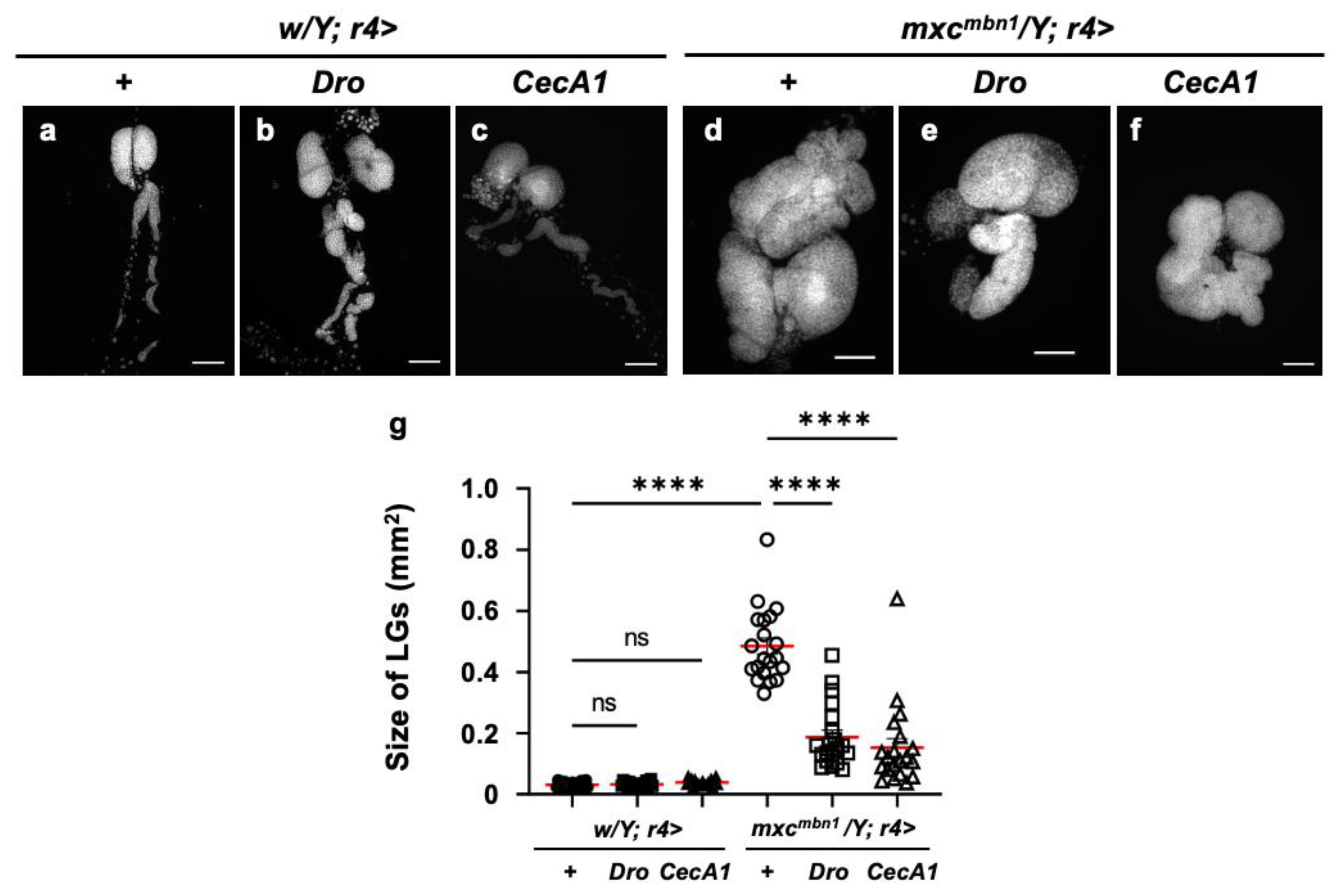 Preprints 147847 g002
