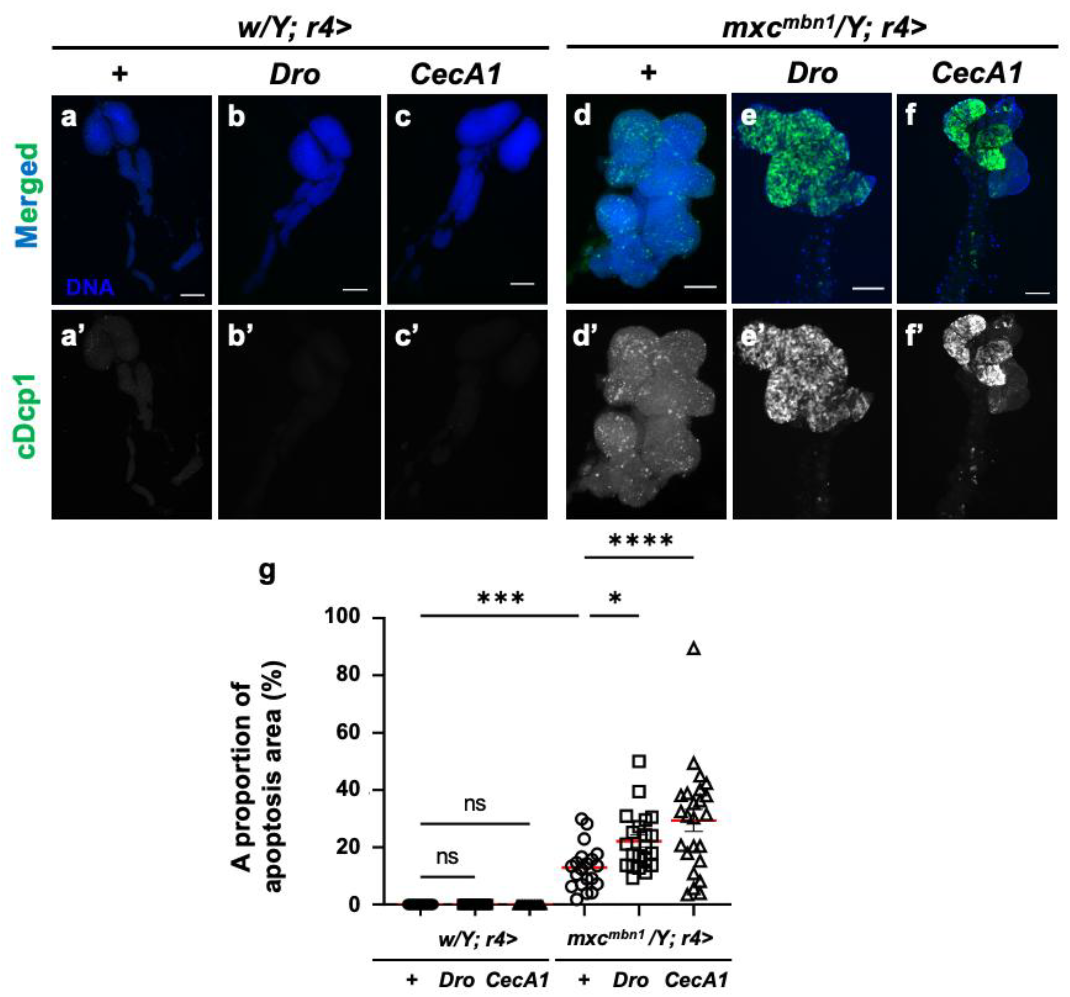 Preprints 147847 g003