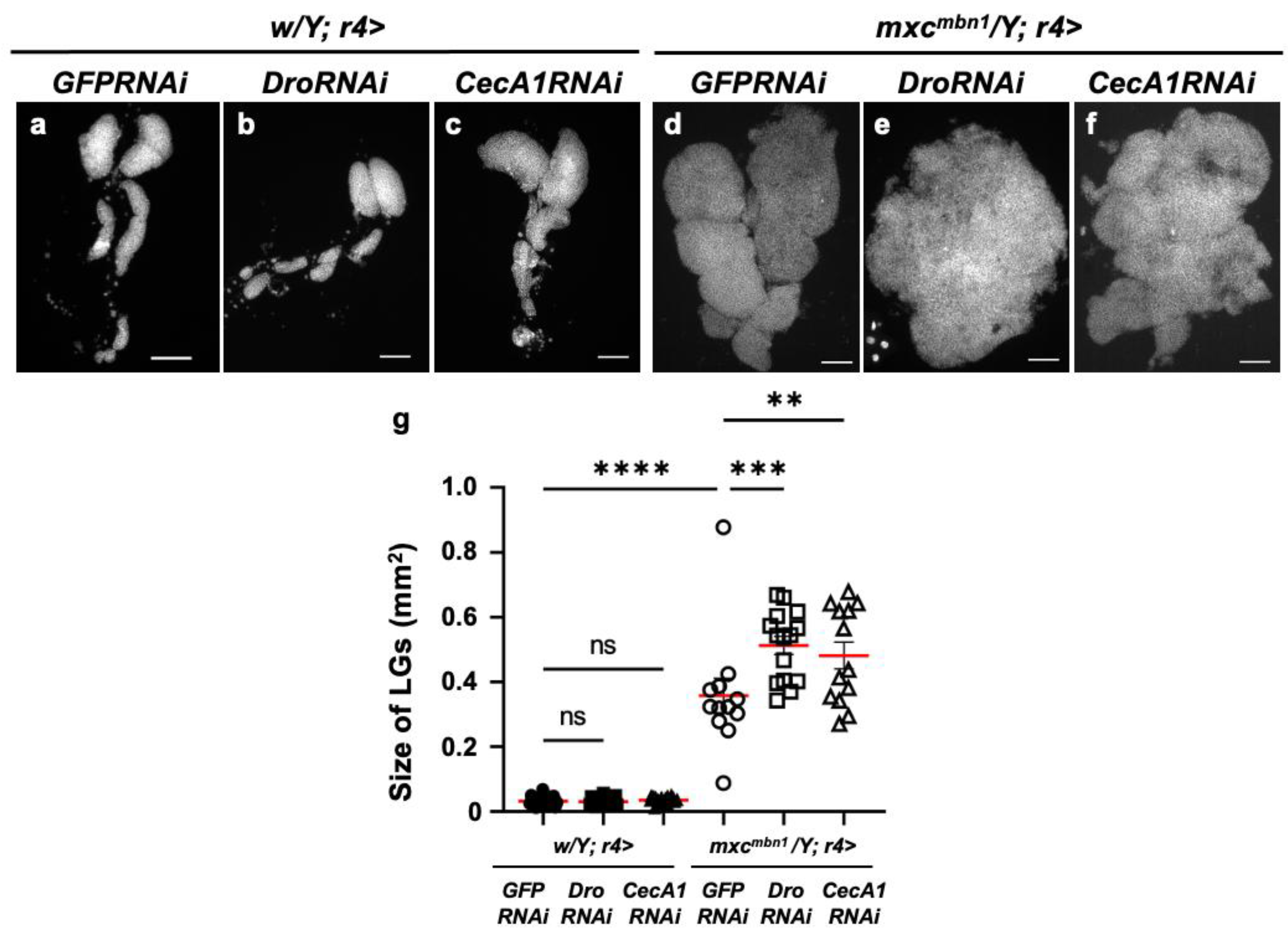 Preprints 147847 g004