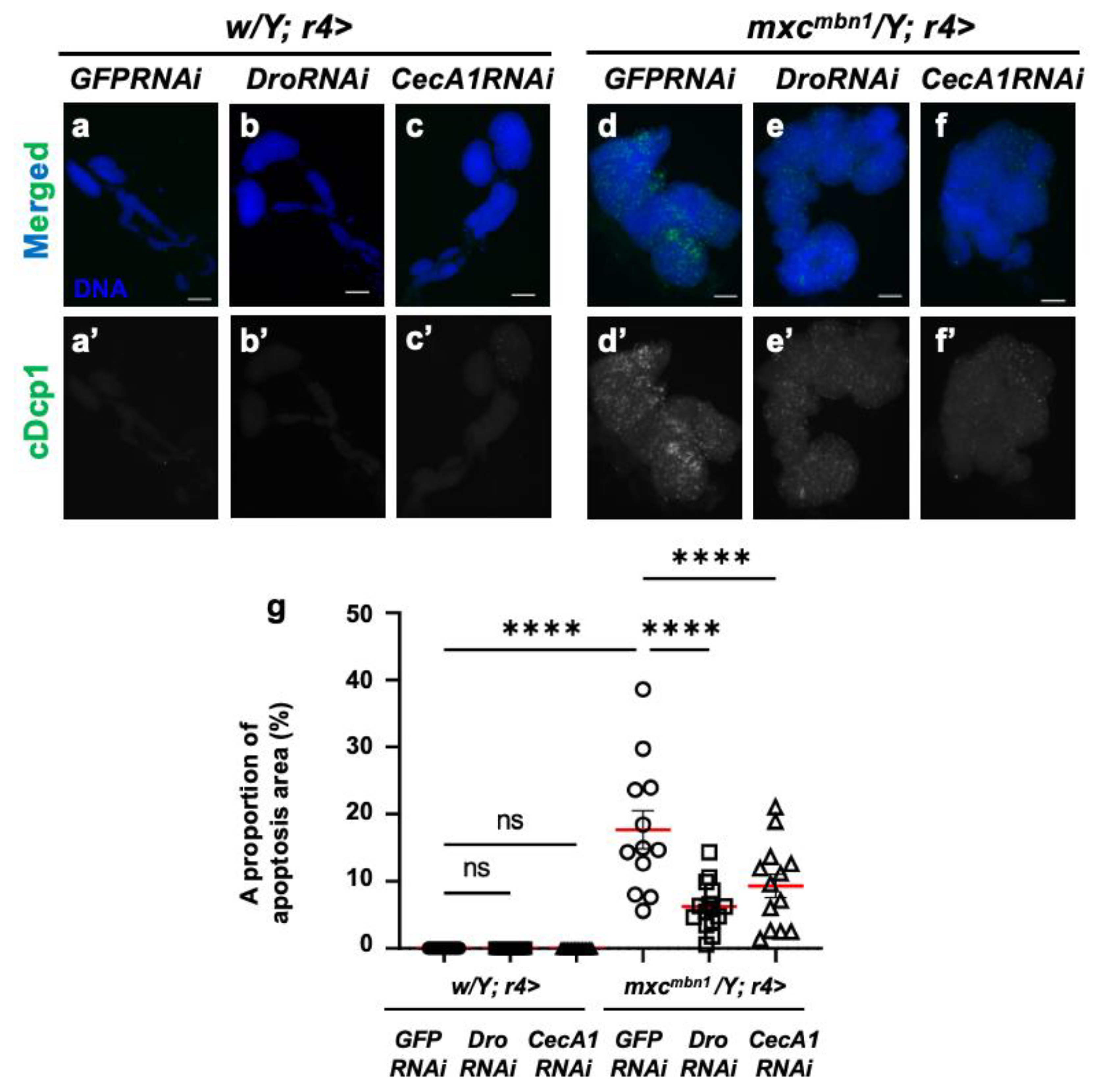 Preprints 147847 g005