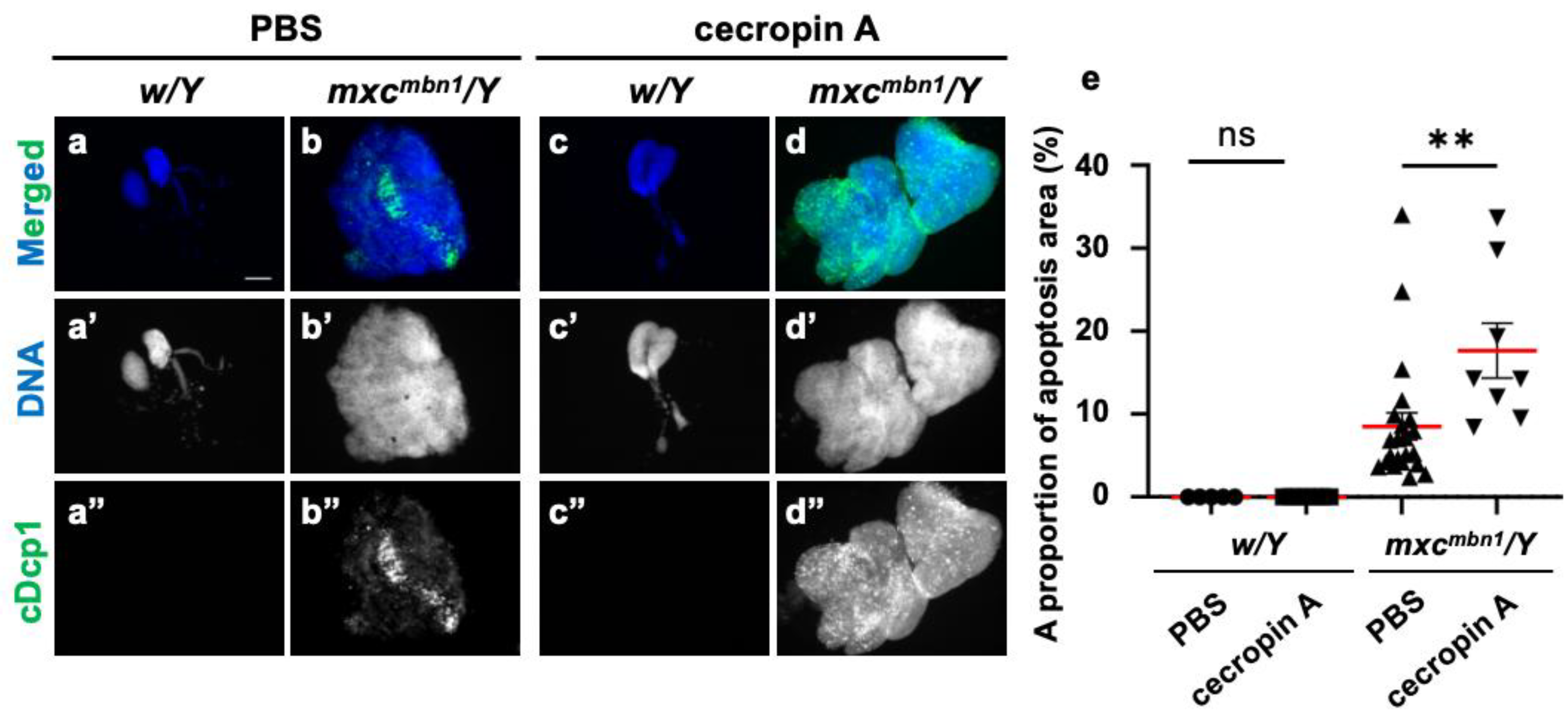 Preprints 147847 g006