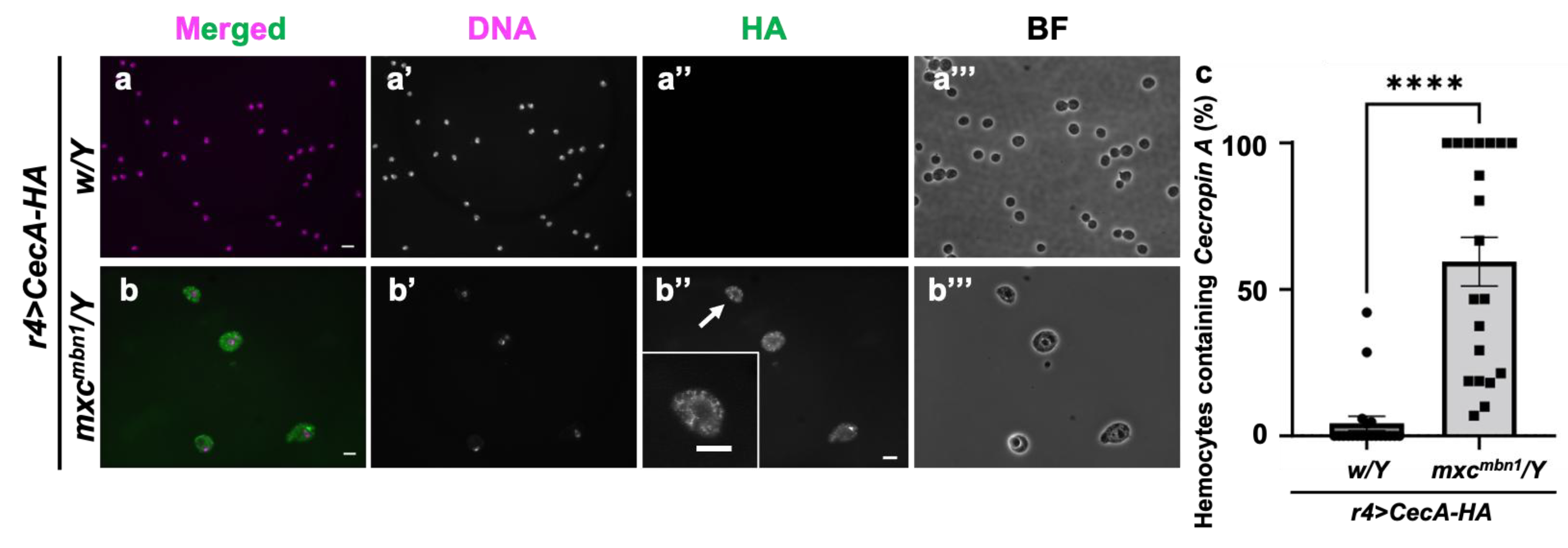 Preprints 147847 g007