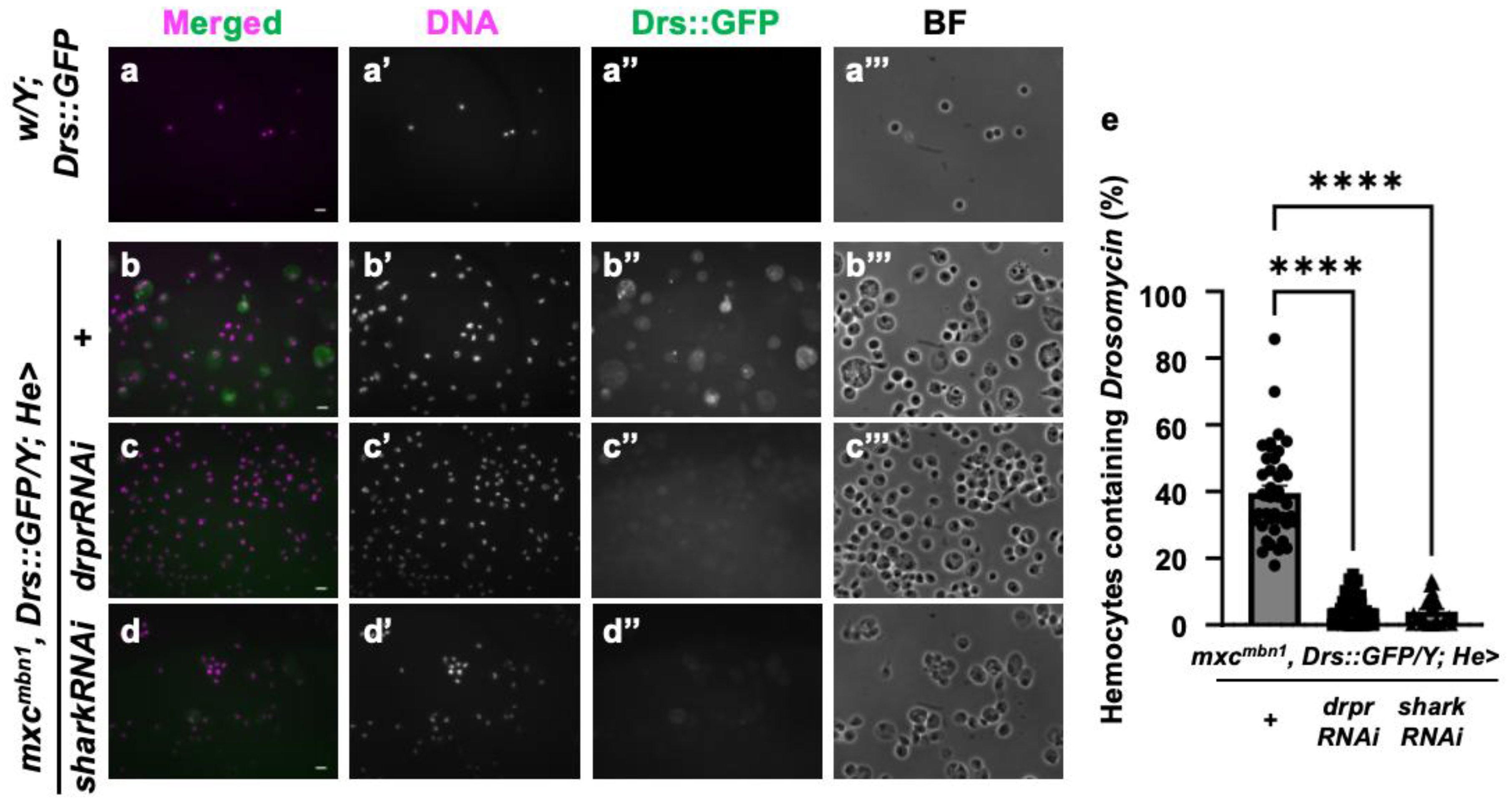 Preprints 147847 g008