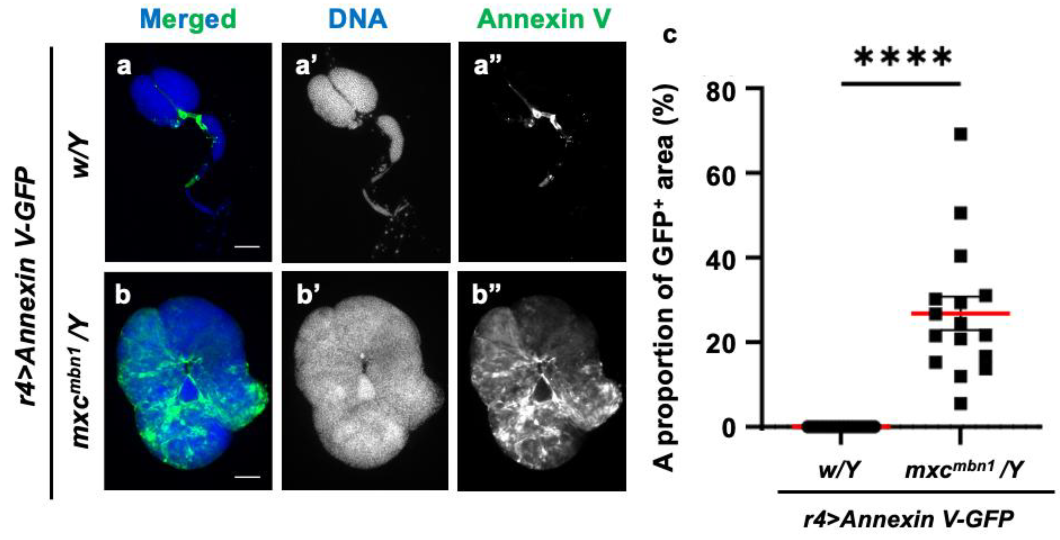 Preprints 147847 g009