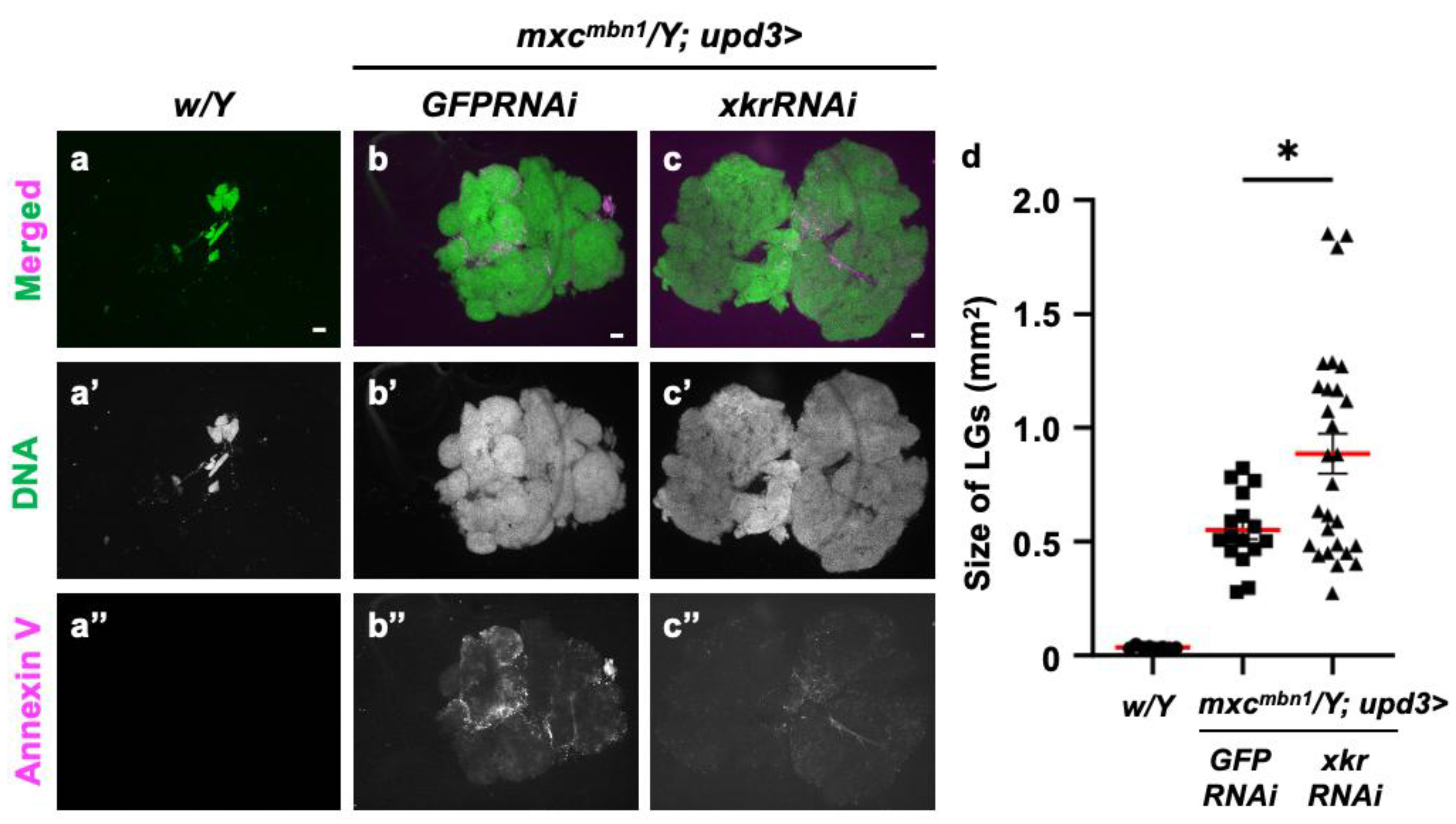 Preprints 147847 g010