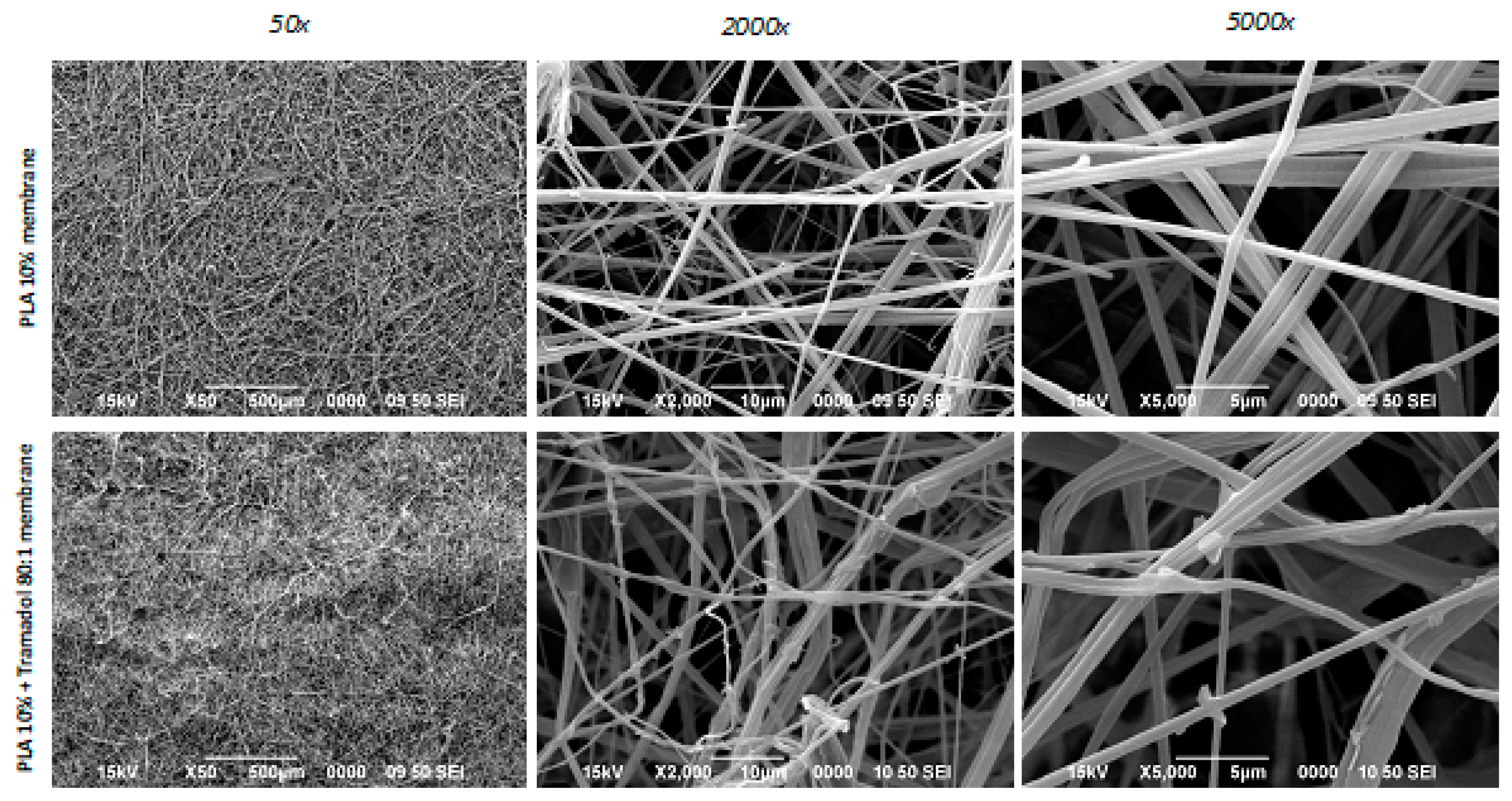 Preprints 158111 g001