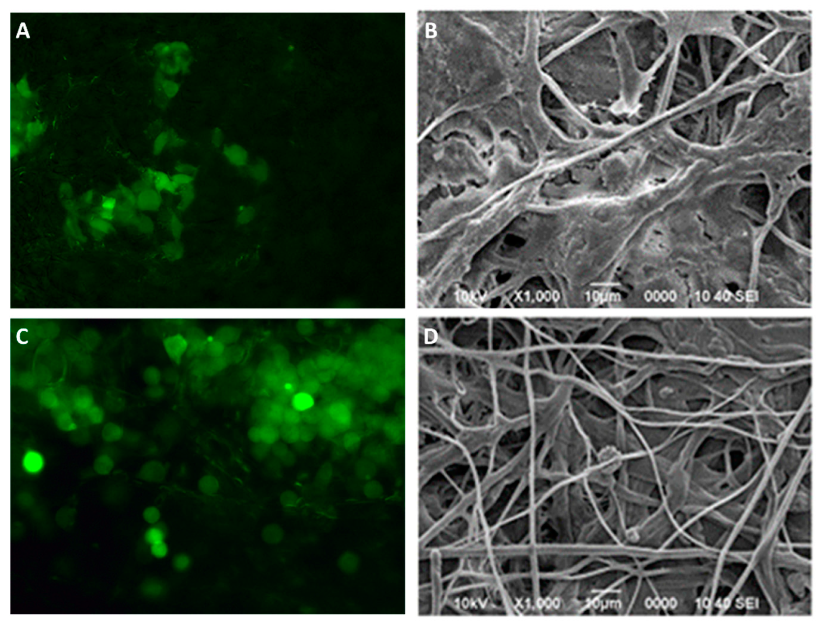 Preprints 158111 g010