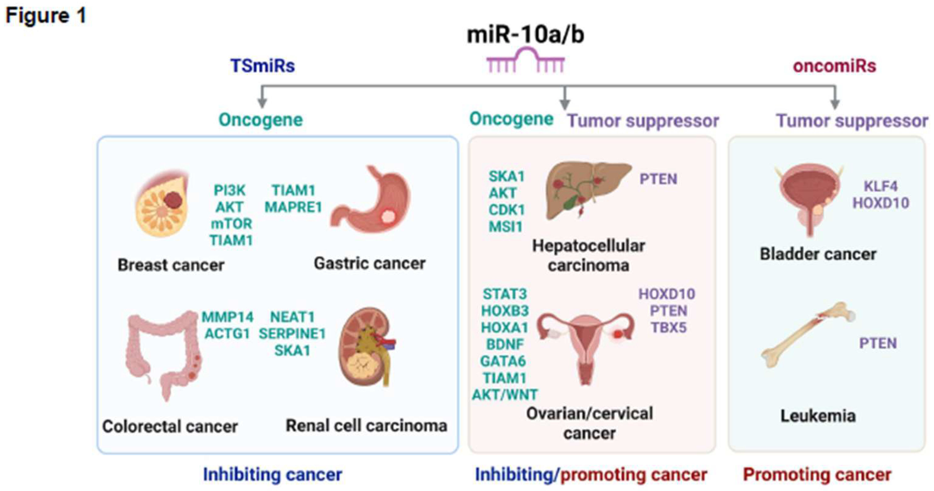 Preprints 142423 g001