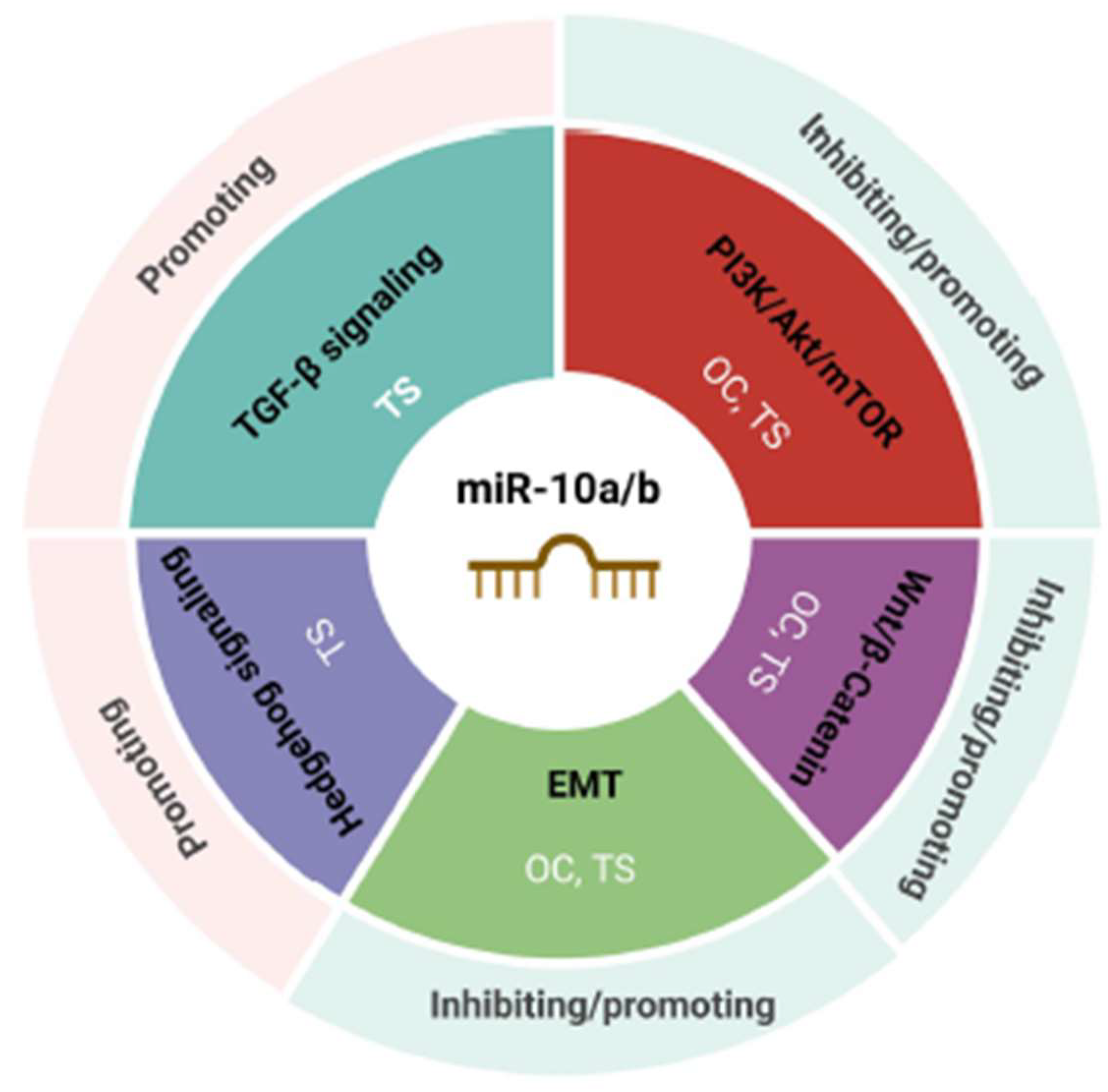 Preprints 142423 g002