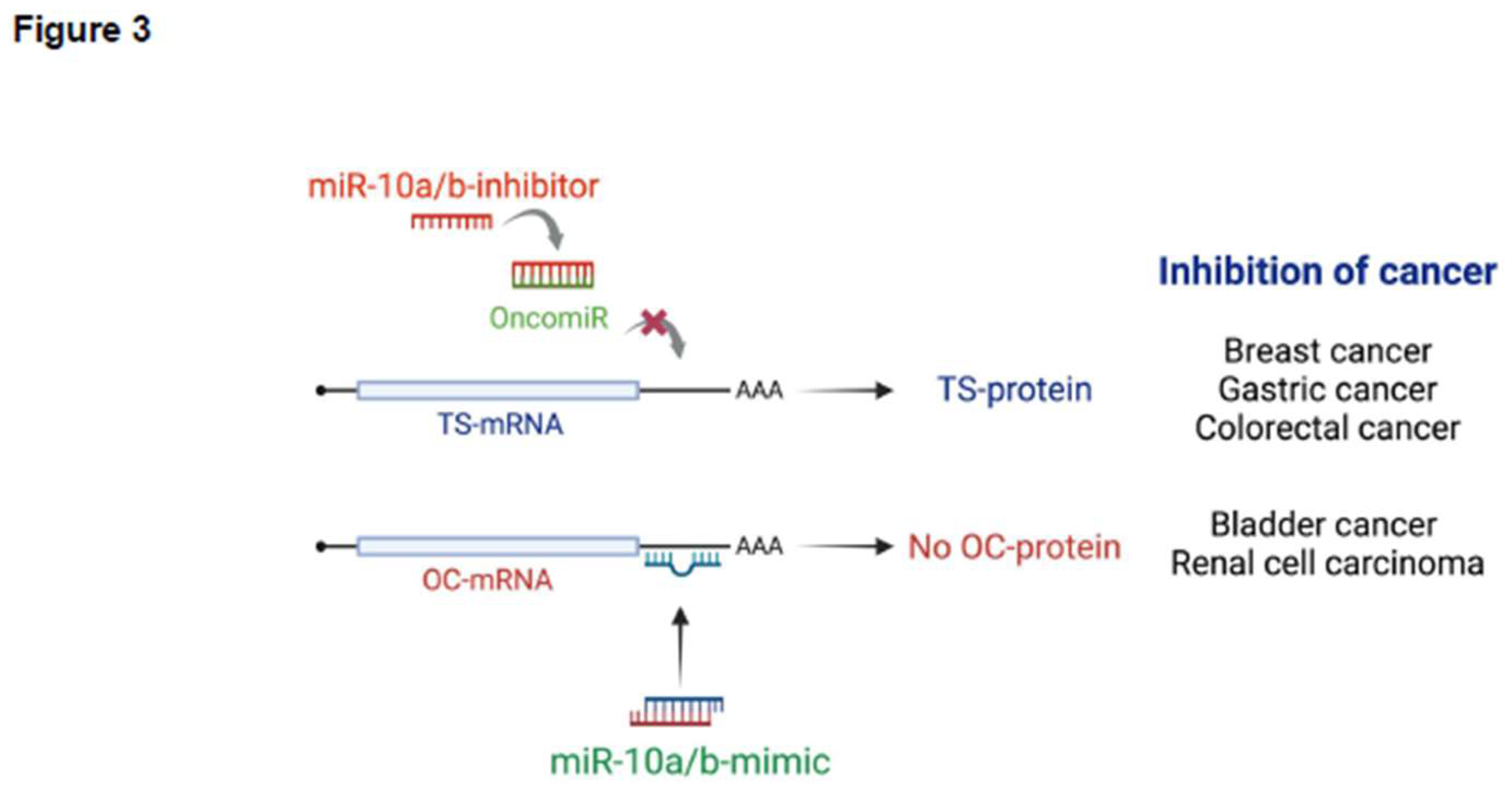 Preprints 142423 g003