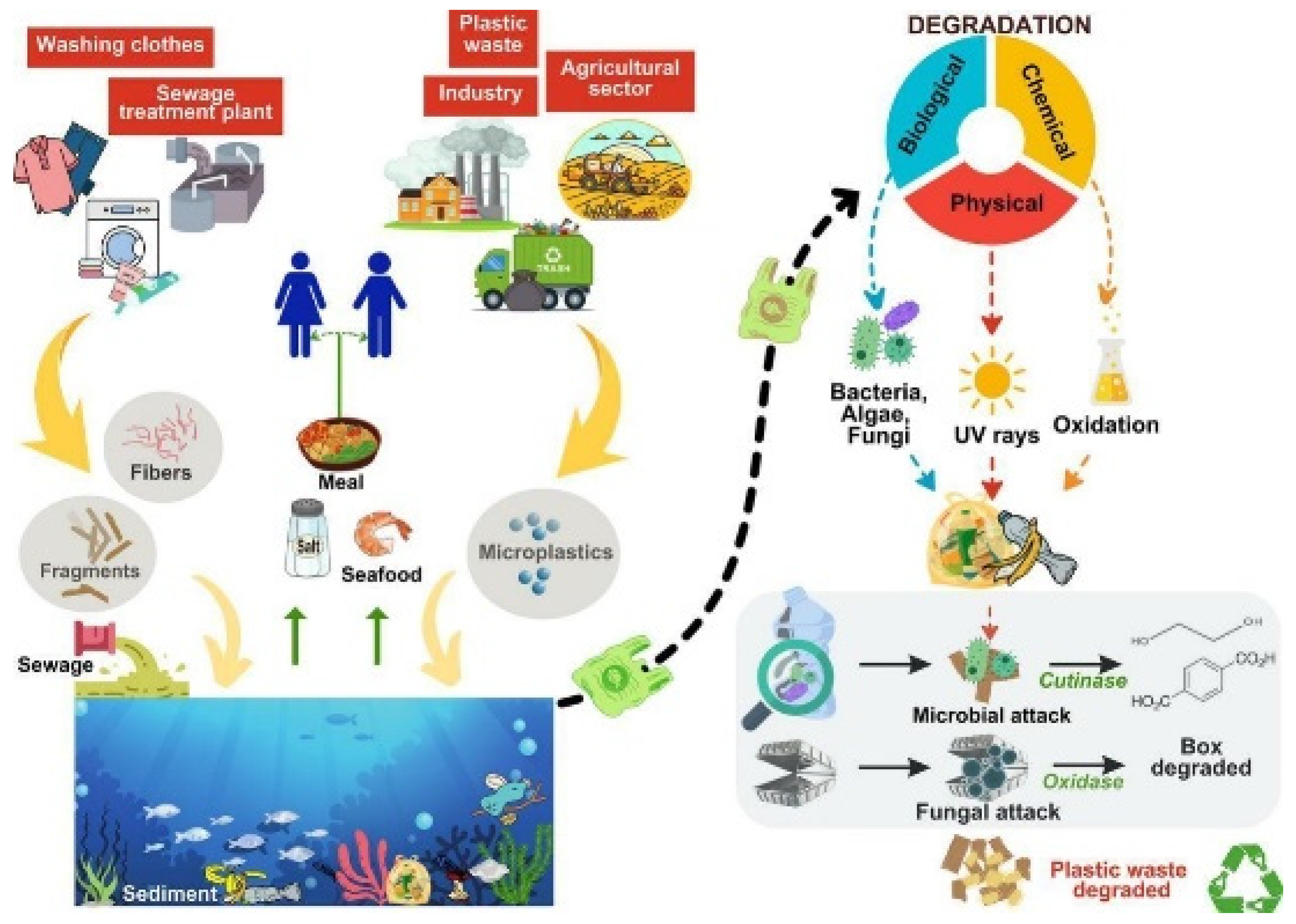 Preprints 152585 g003