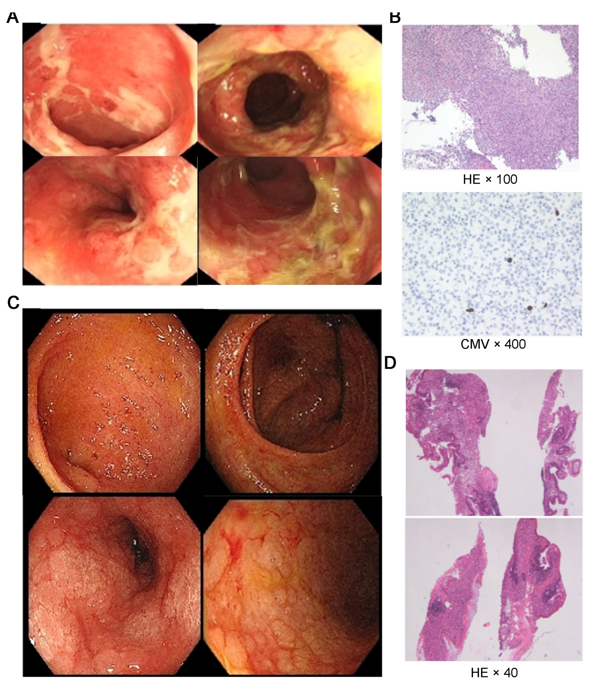 Preprints 197205 g001