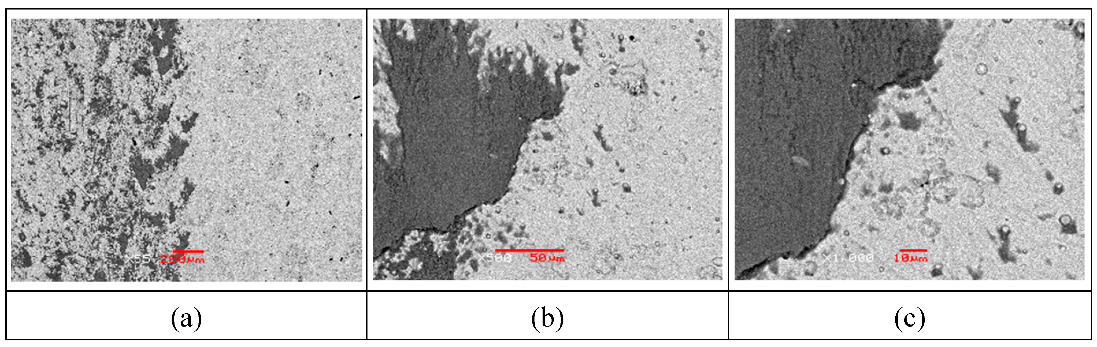 Preprints 183162 g005