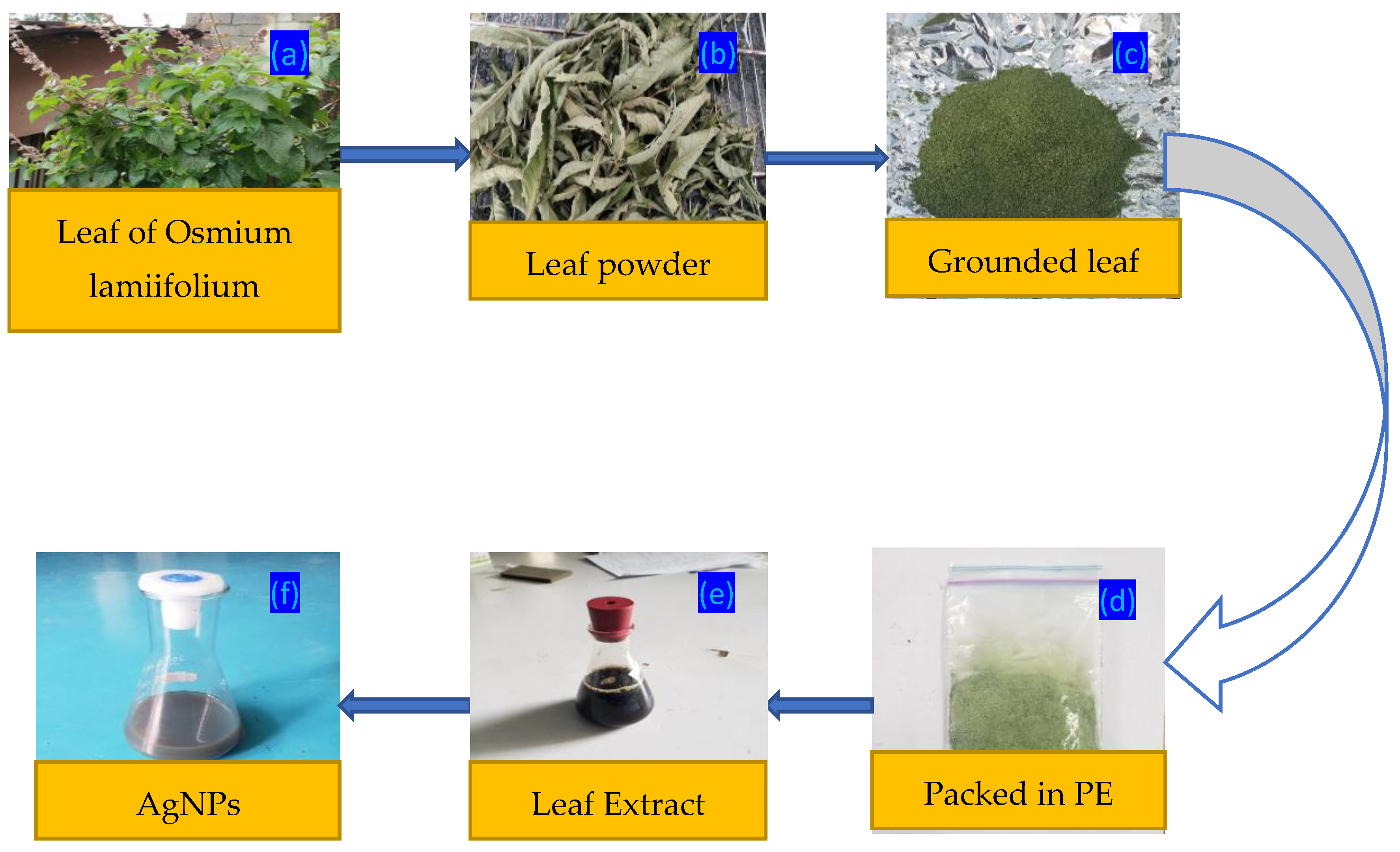 Preprints 195357 g001
