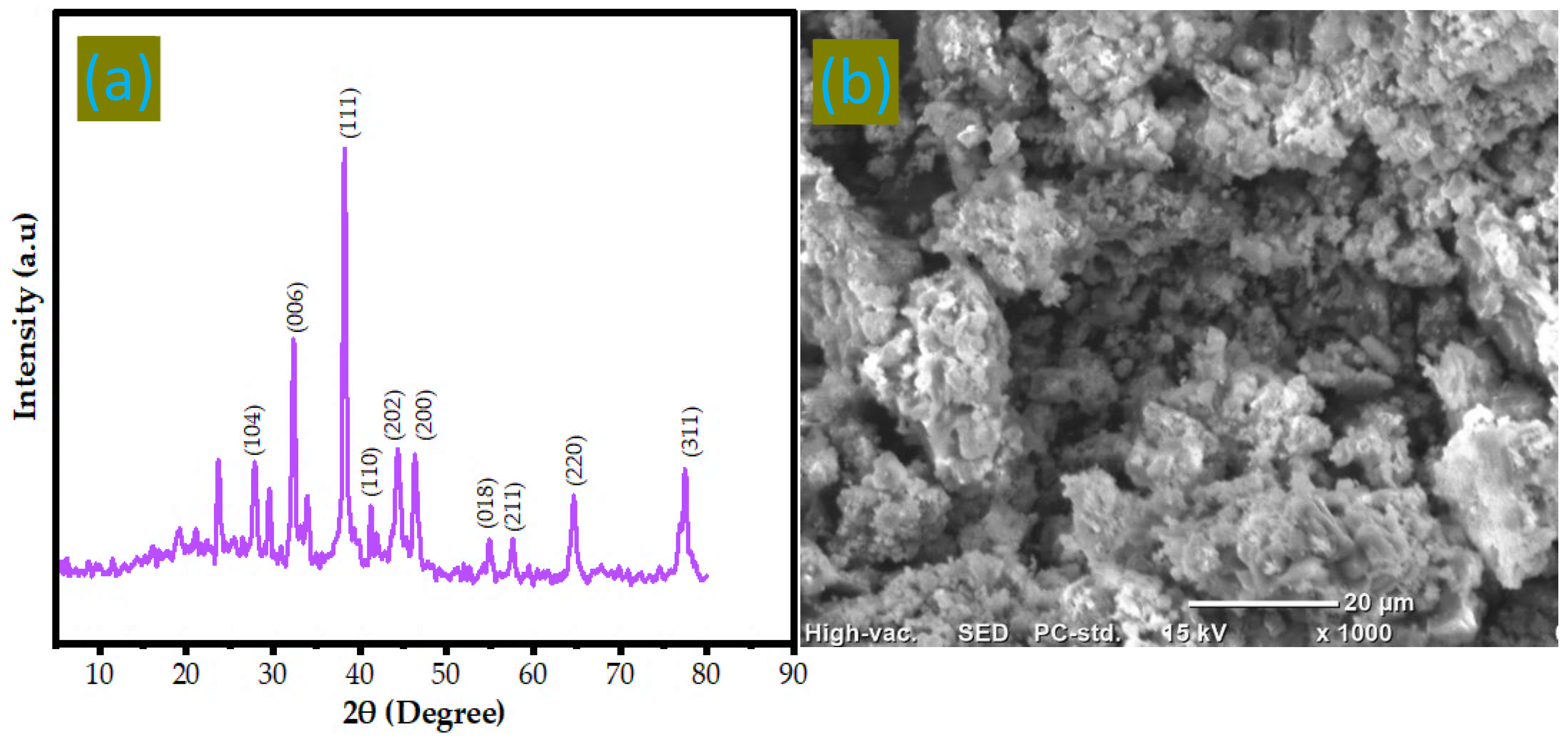Preprints 195357 g005