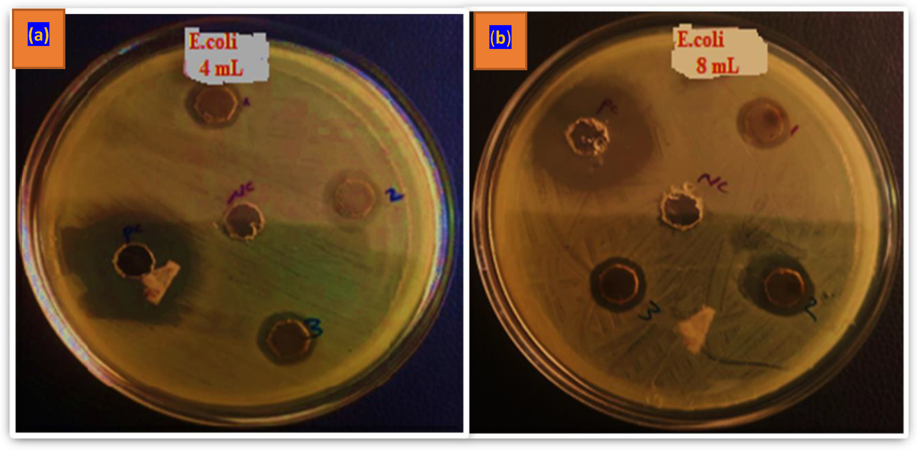 Preprints 195357 g006