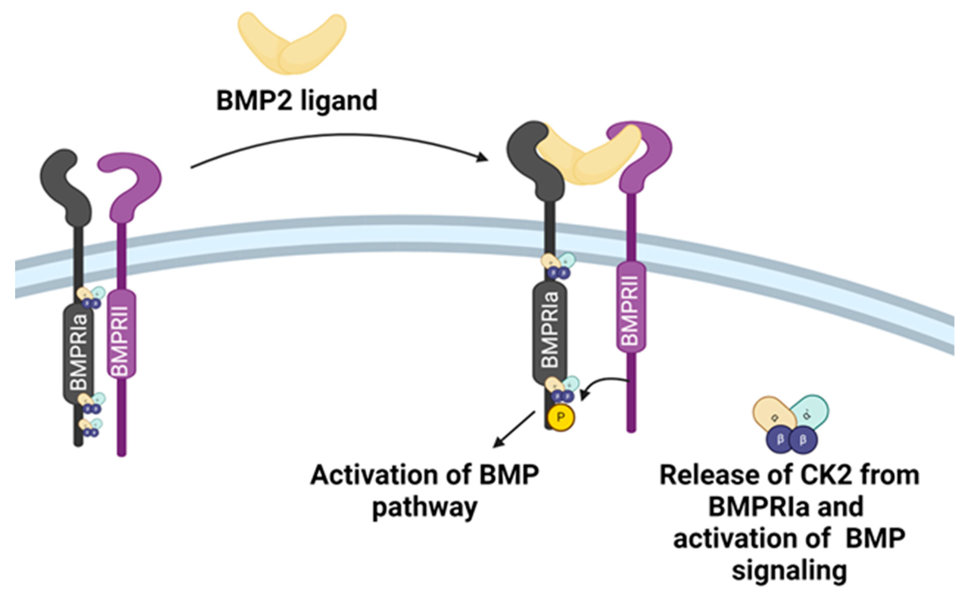 Preprints 170515 g001