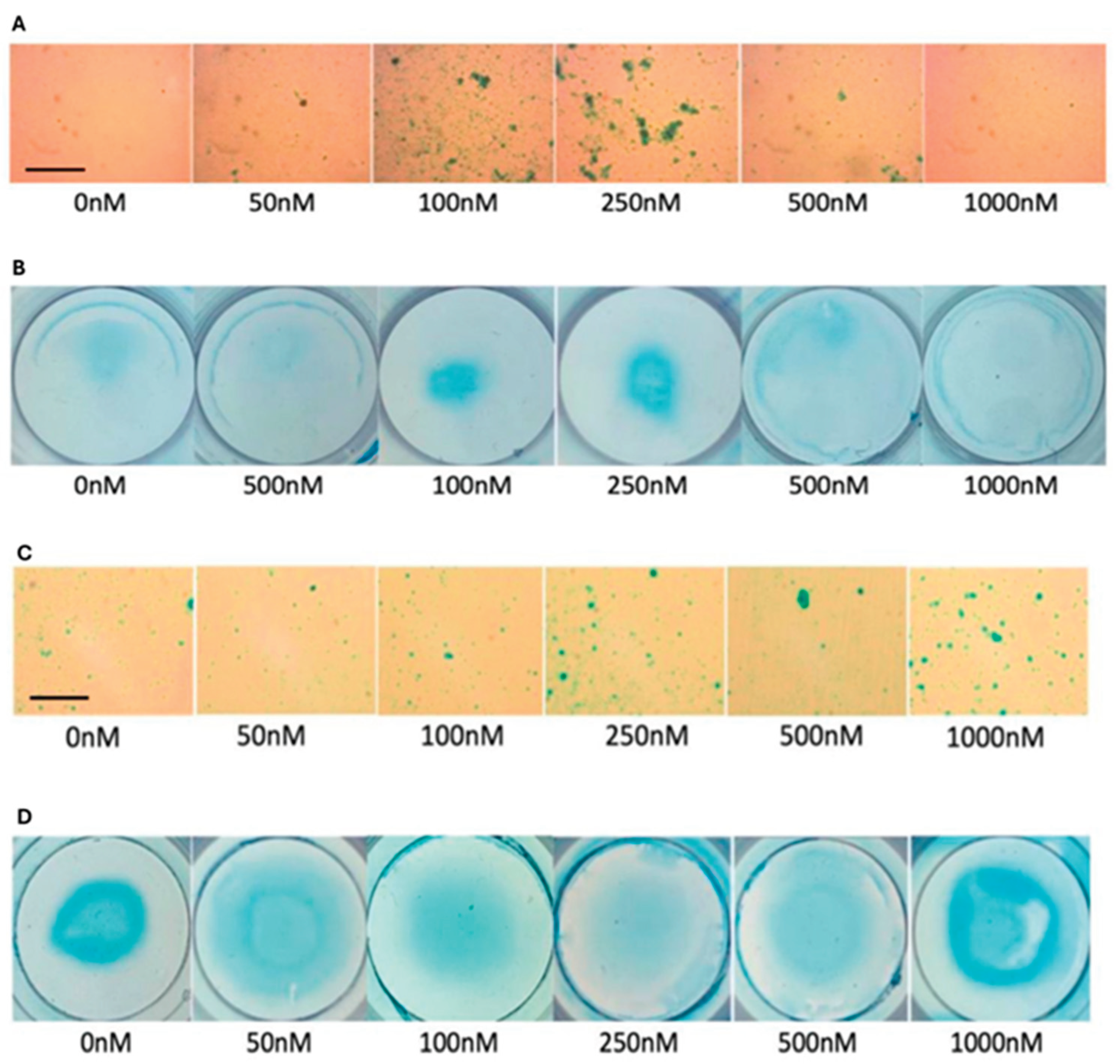 Preprints 170515 g007