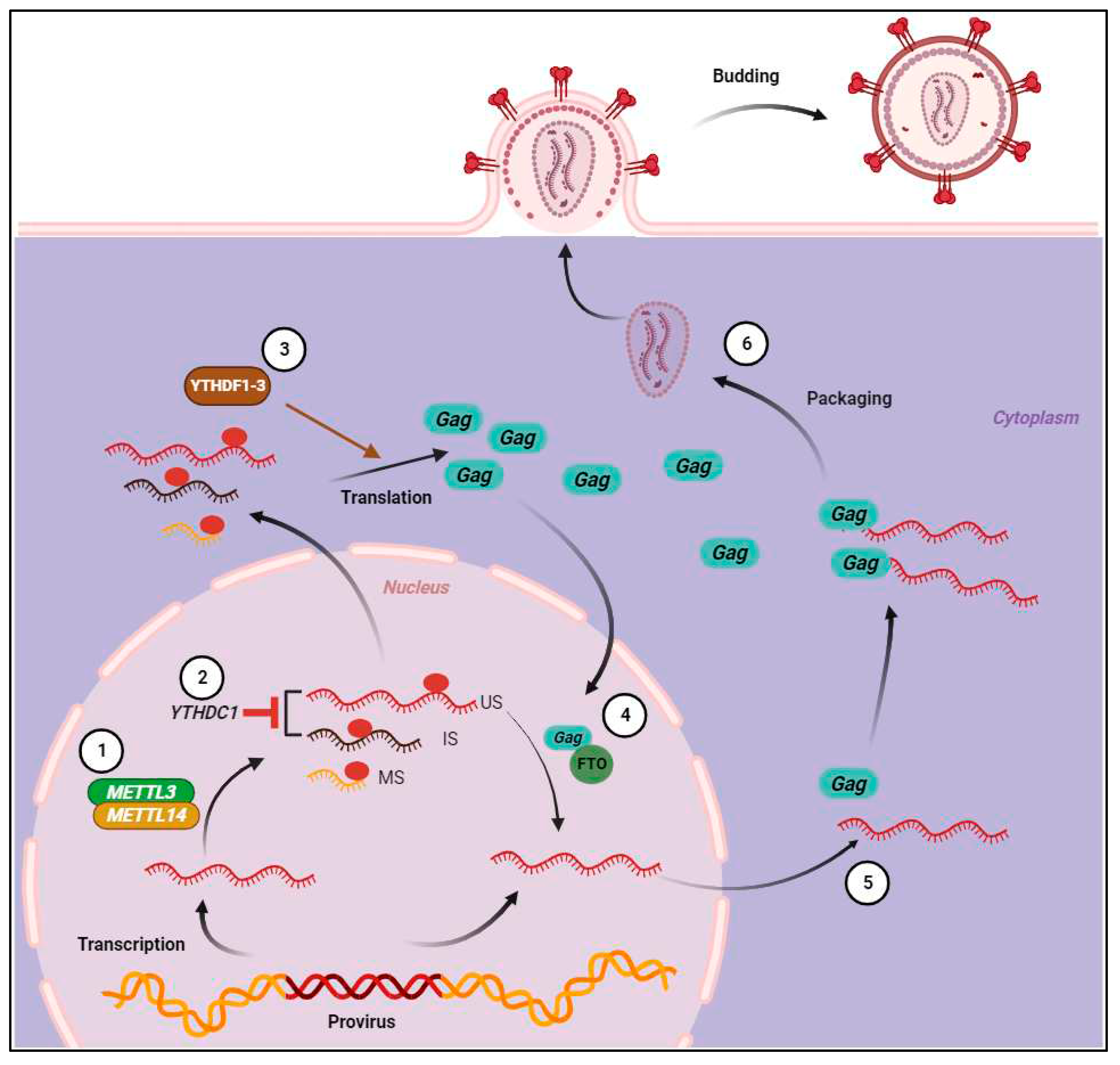 Preprints 93729 g002