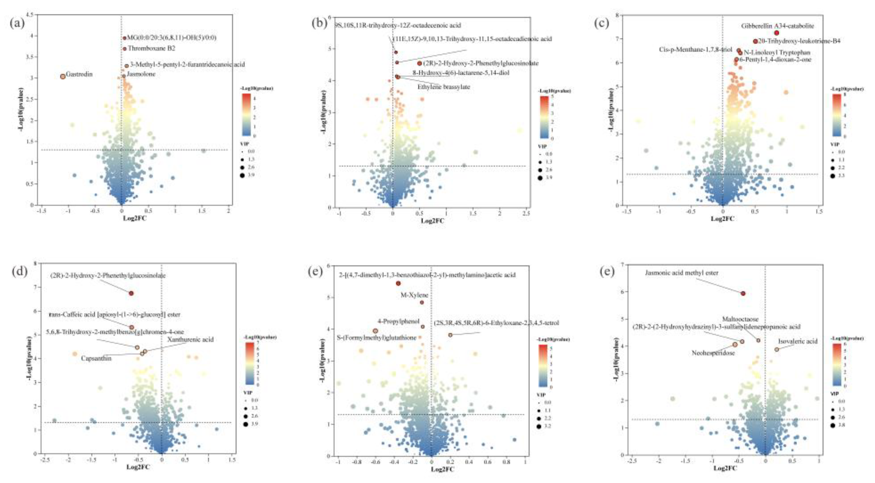 Preprints 219048 g005 Preprints 219048 g005