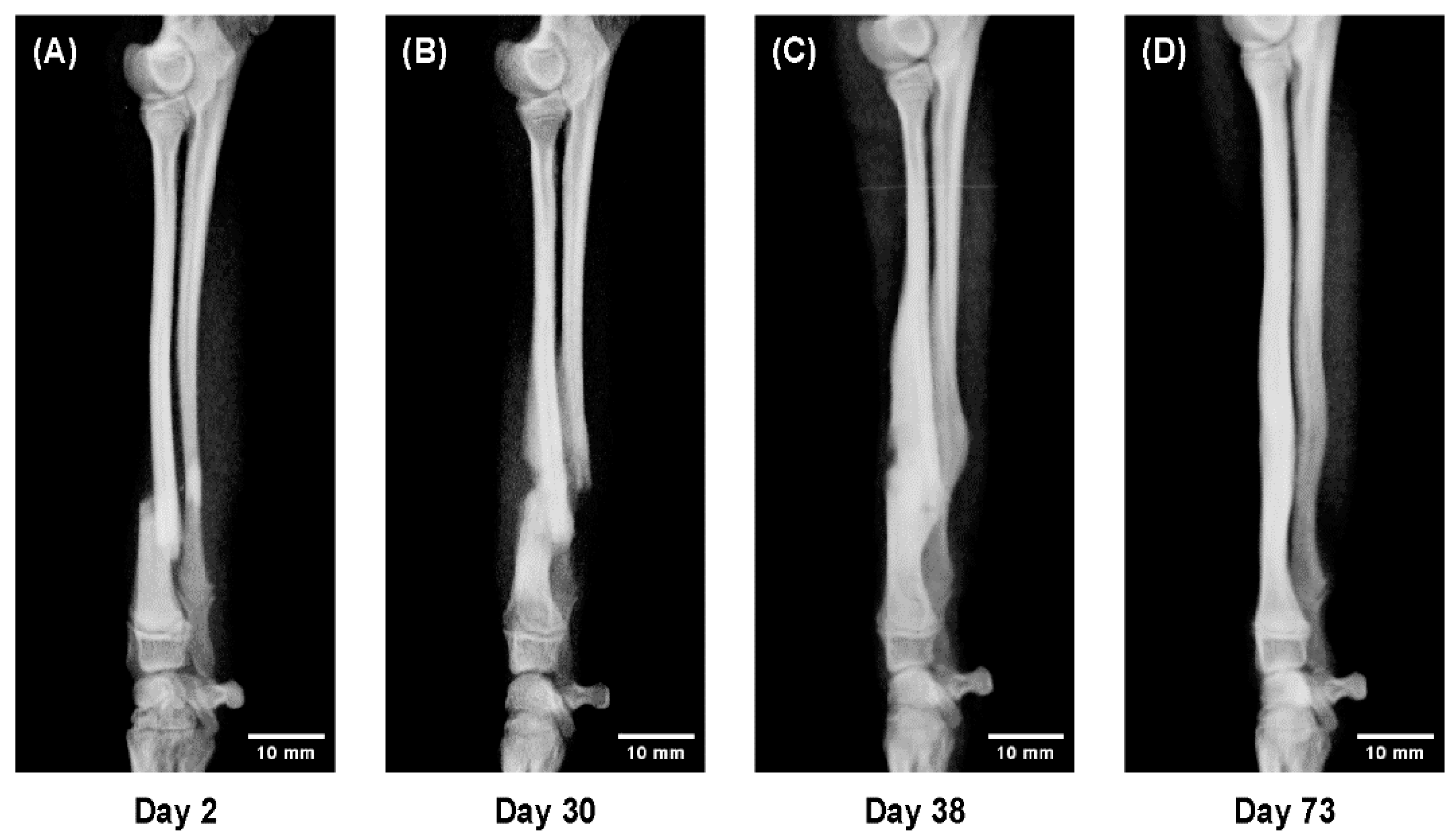 Preprints 180227 g004
