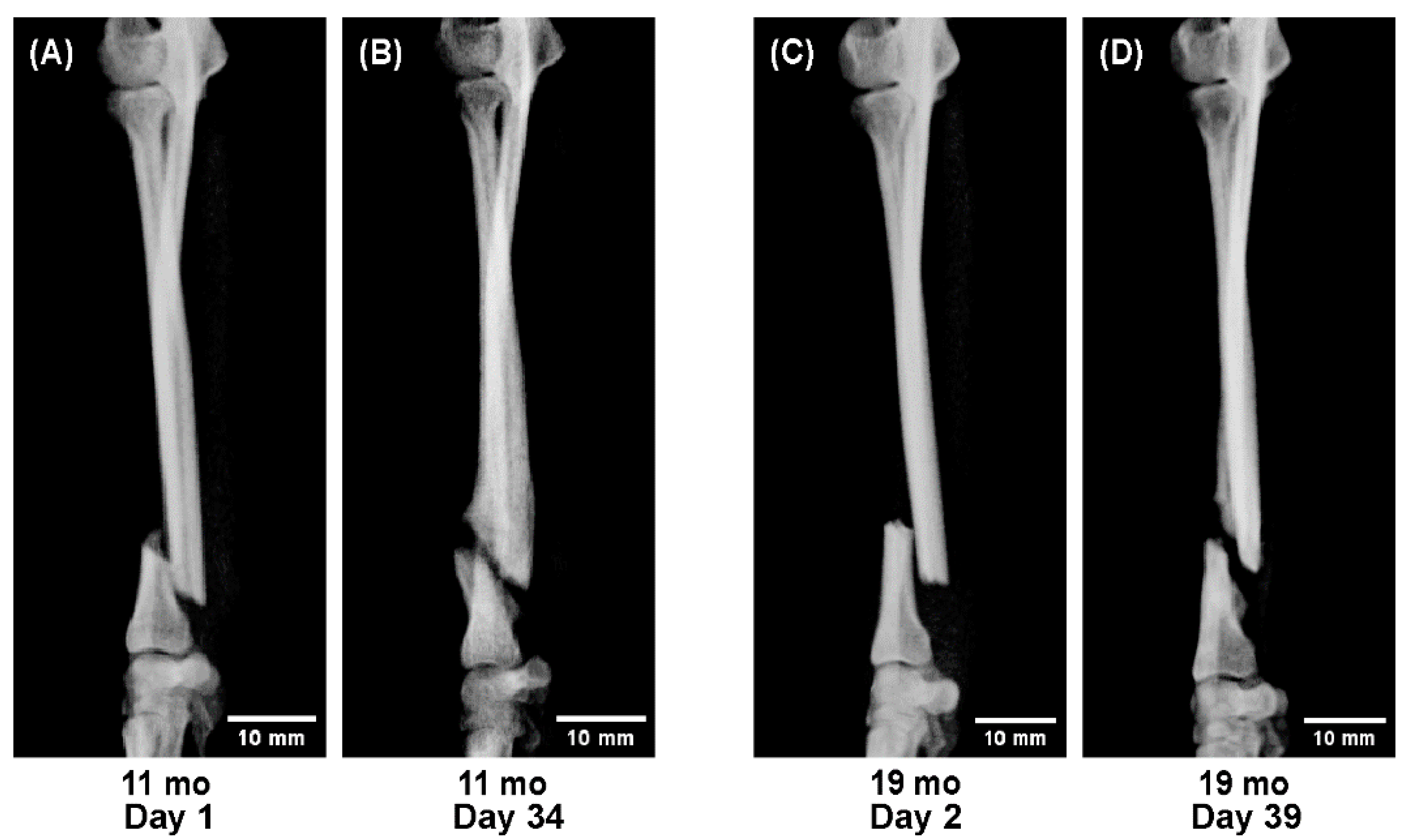 Preprints 180227 g005