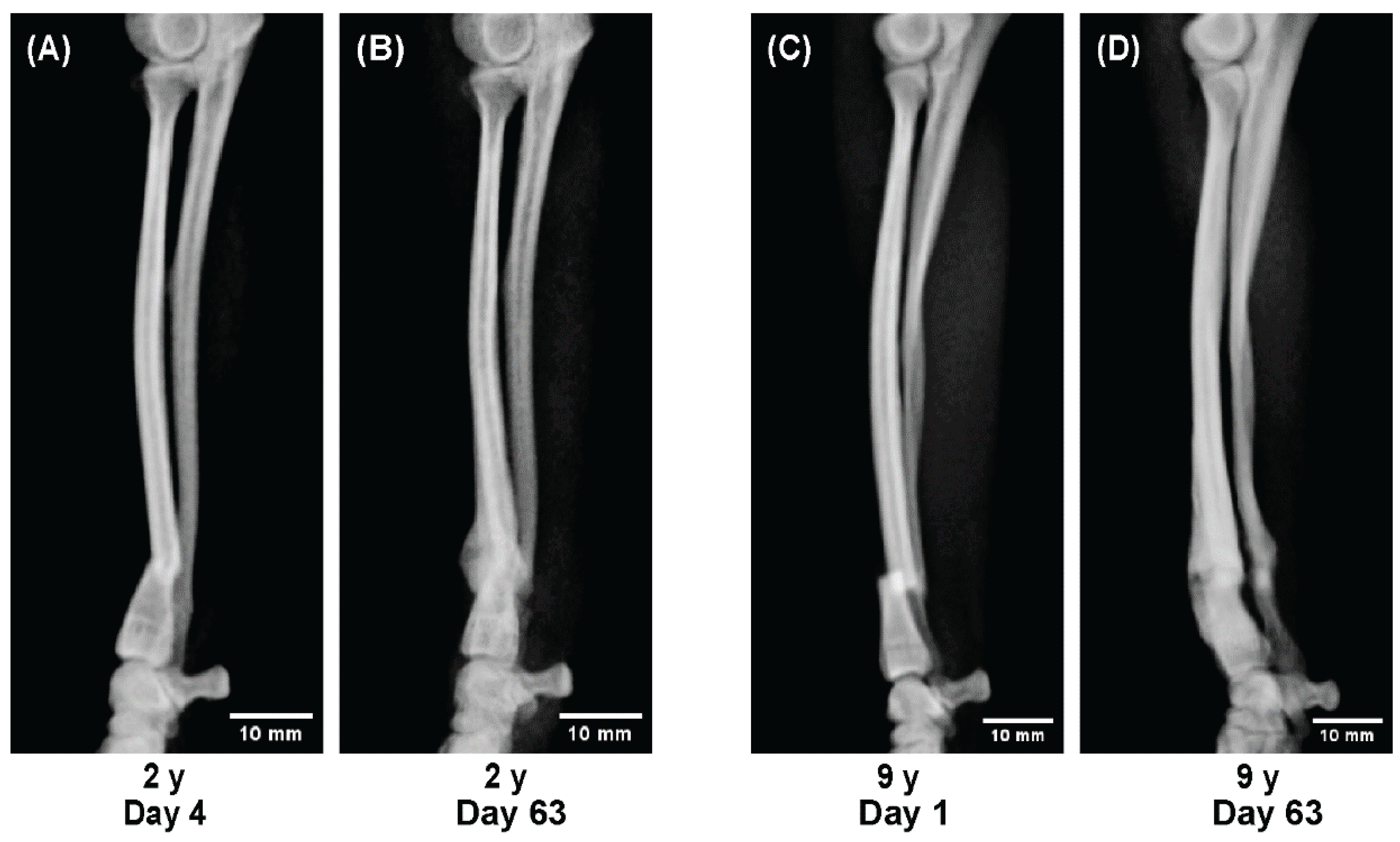 Preprints 180227 g006