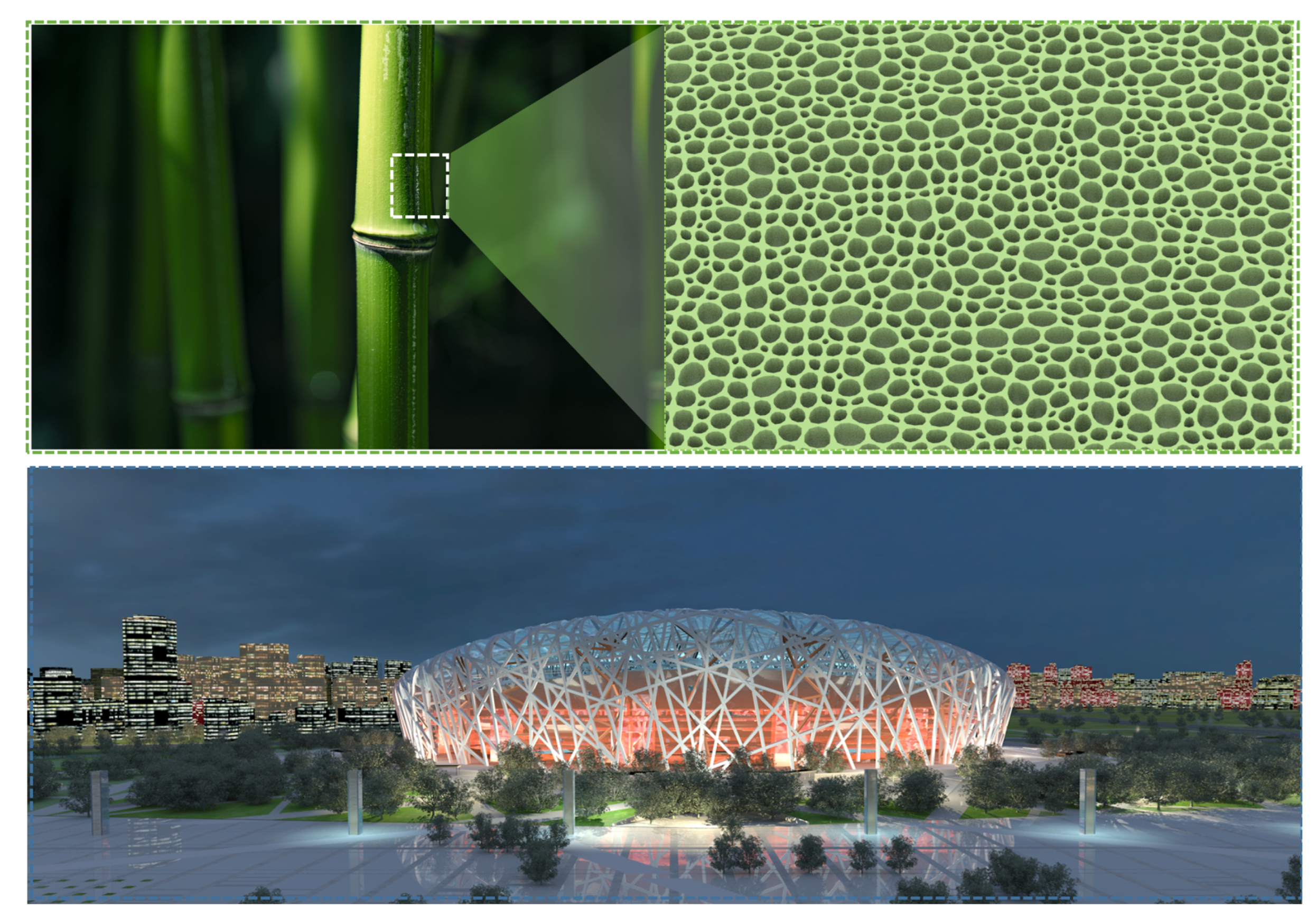 Preprints 154930 g003