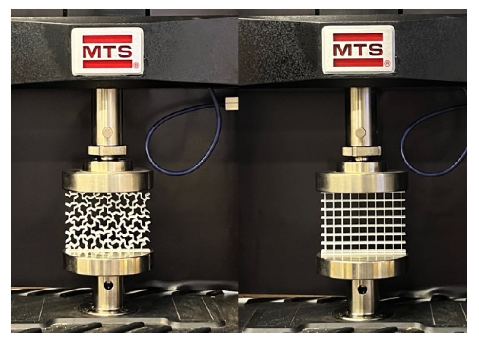 Preprints 154930 g009