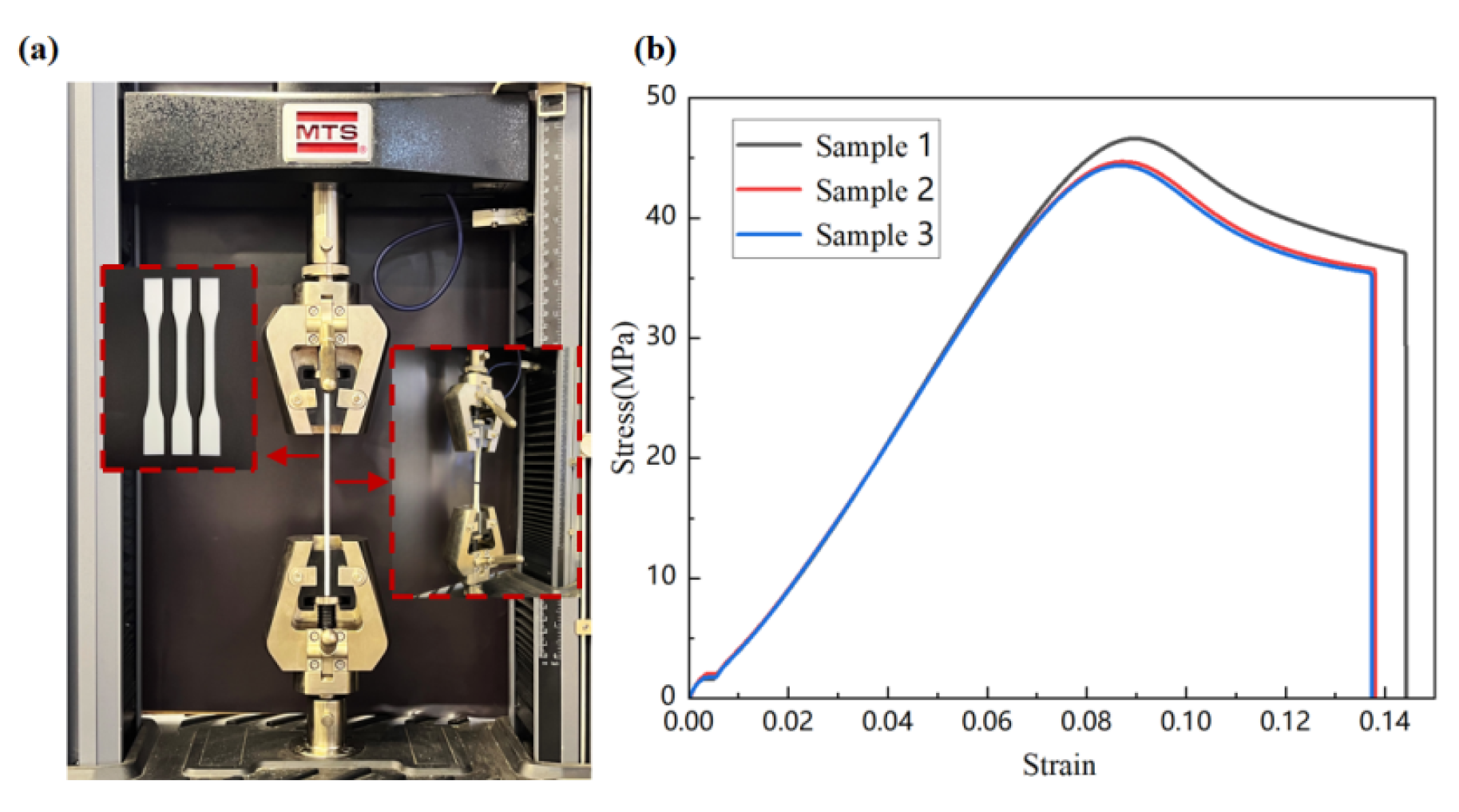 Preprints 154930 g010