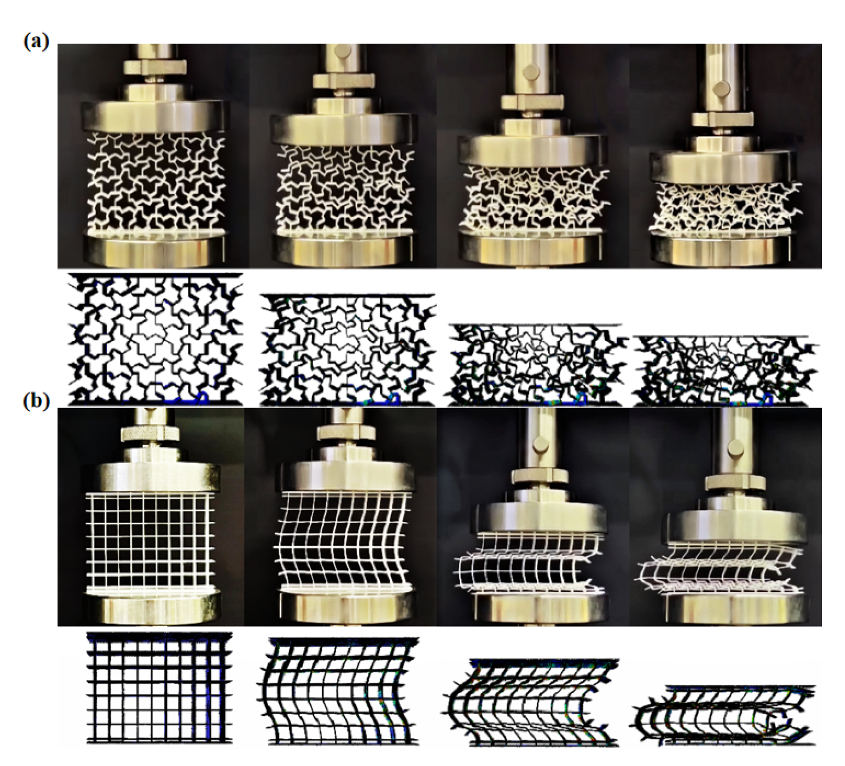 Preprints 154930 g012