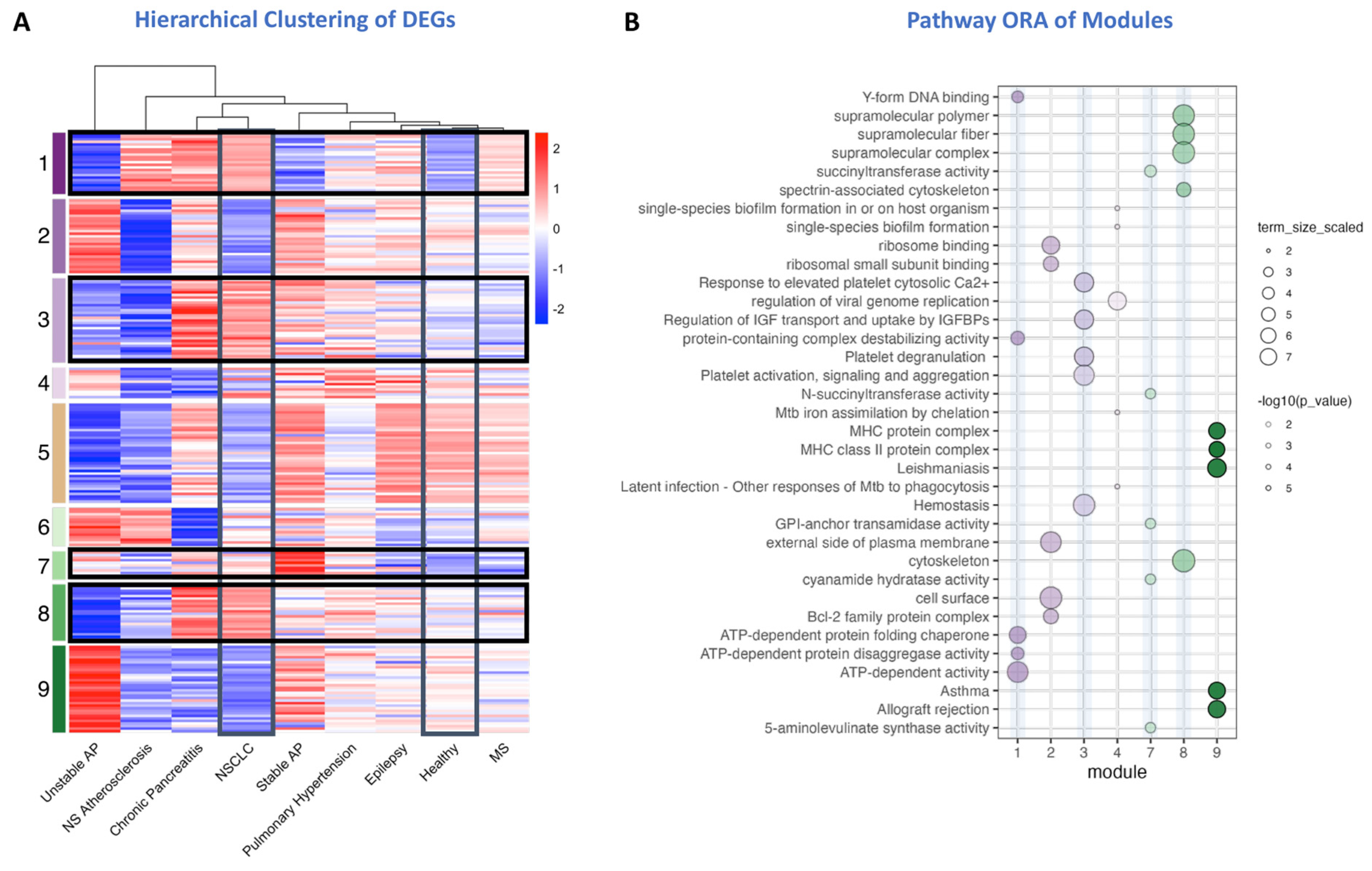Preprints 177139 g002