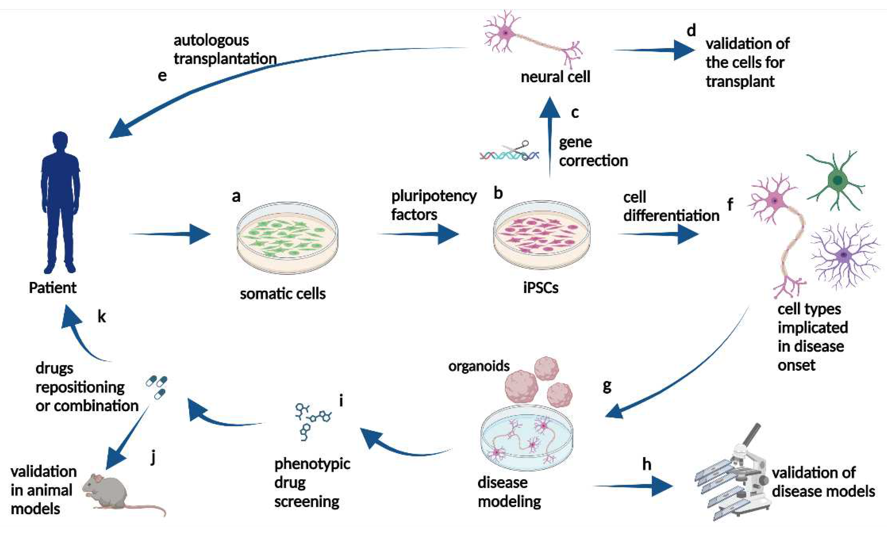 Preprints 91096 g001