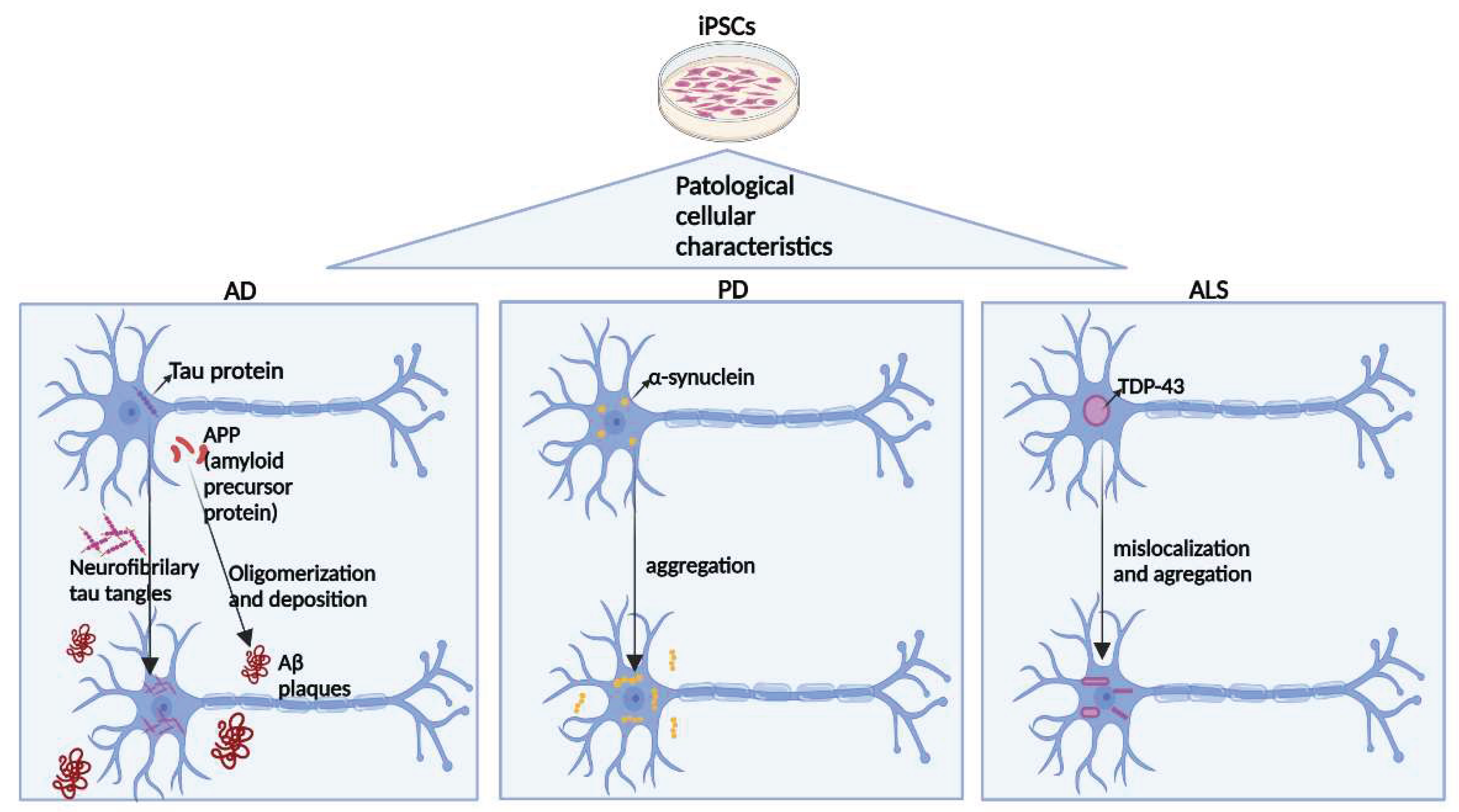 Preprints 91096 g004