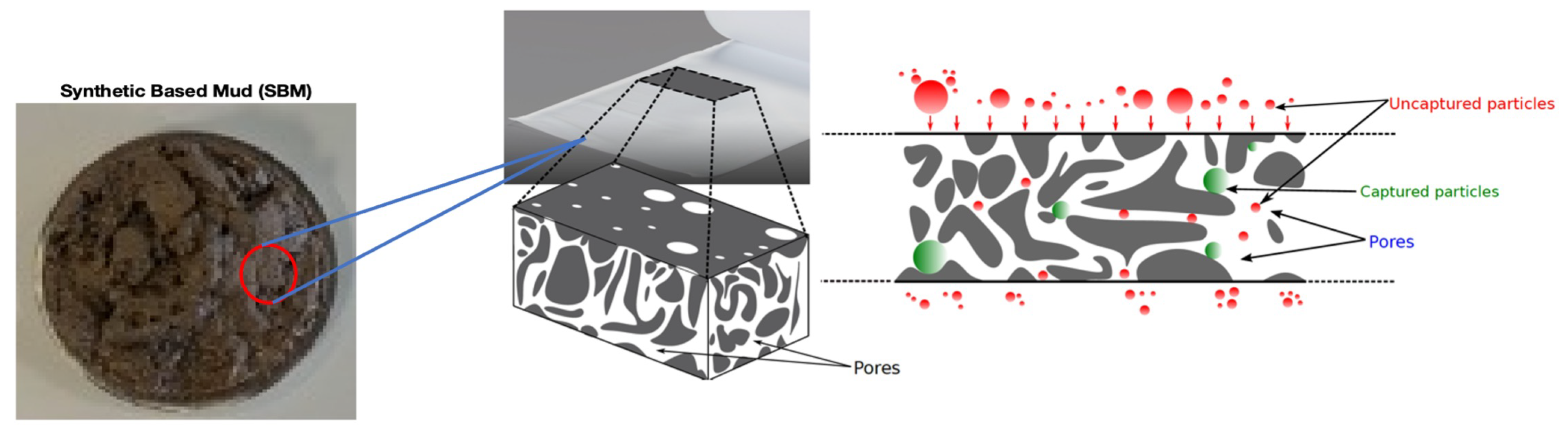Preprints 97190 g007