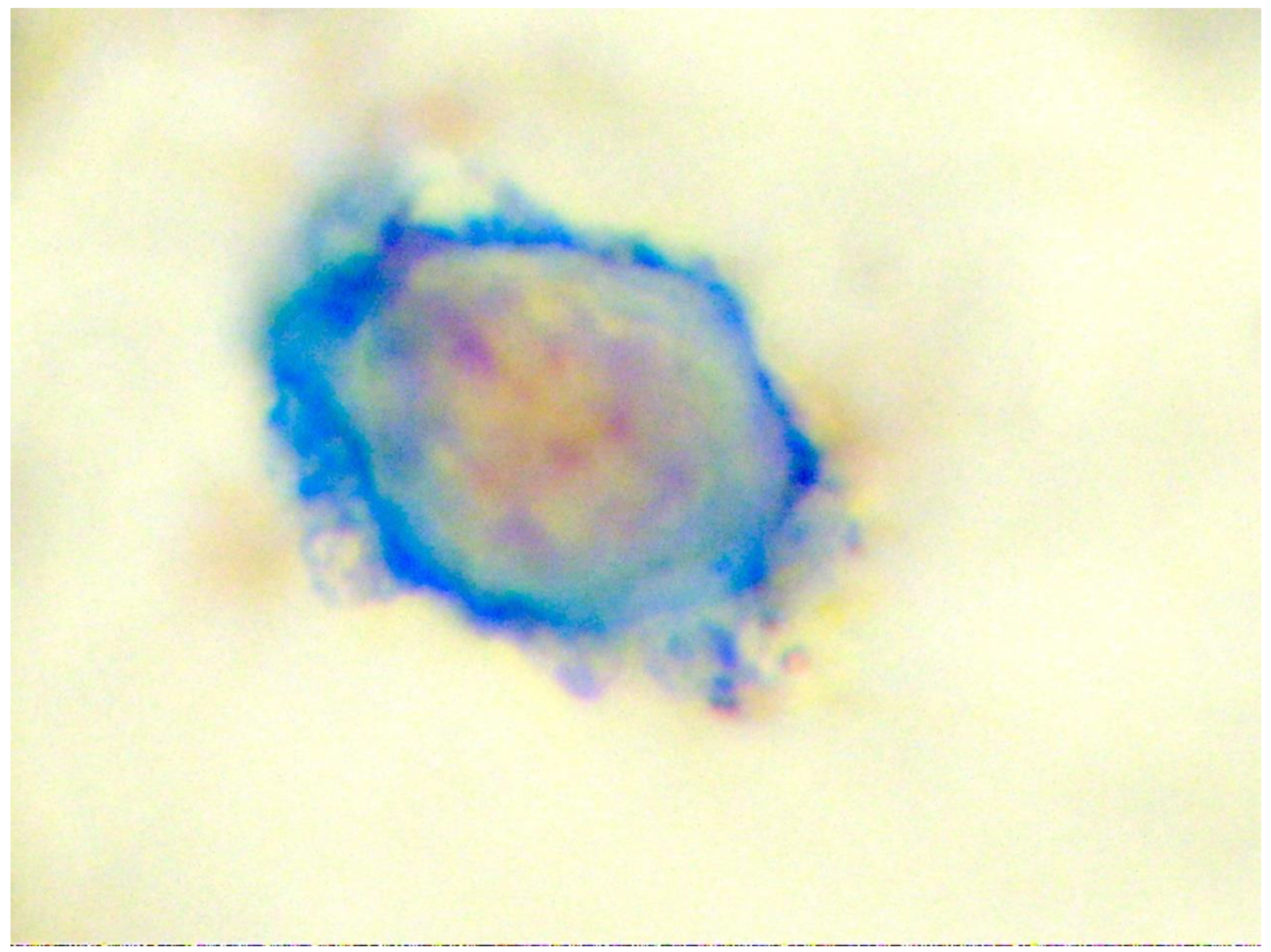 Preprints 173028 g001