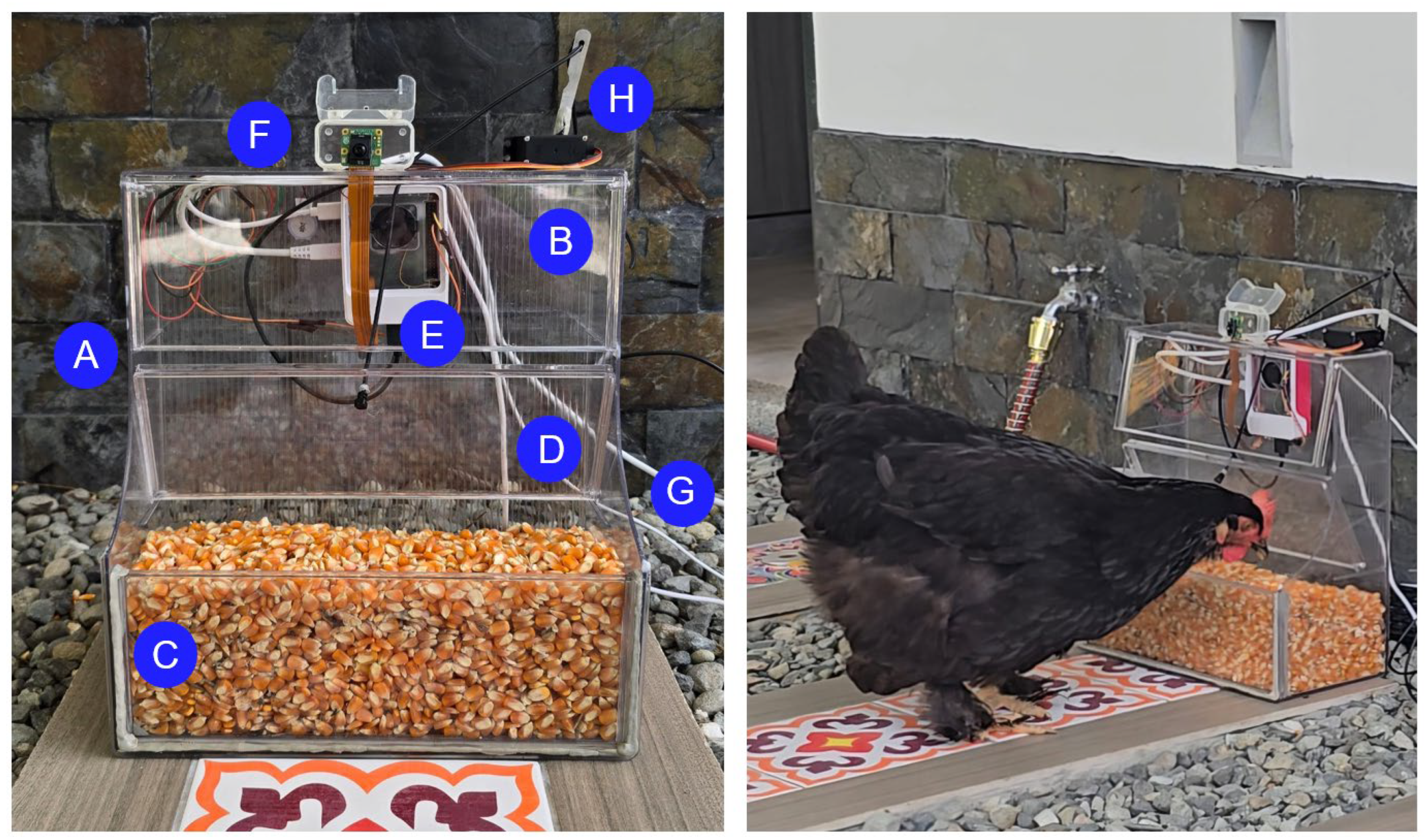 Preprints 181258 g004