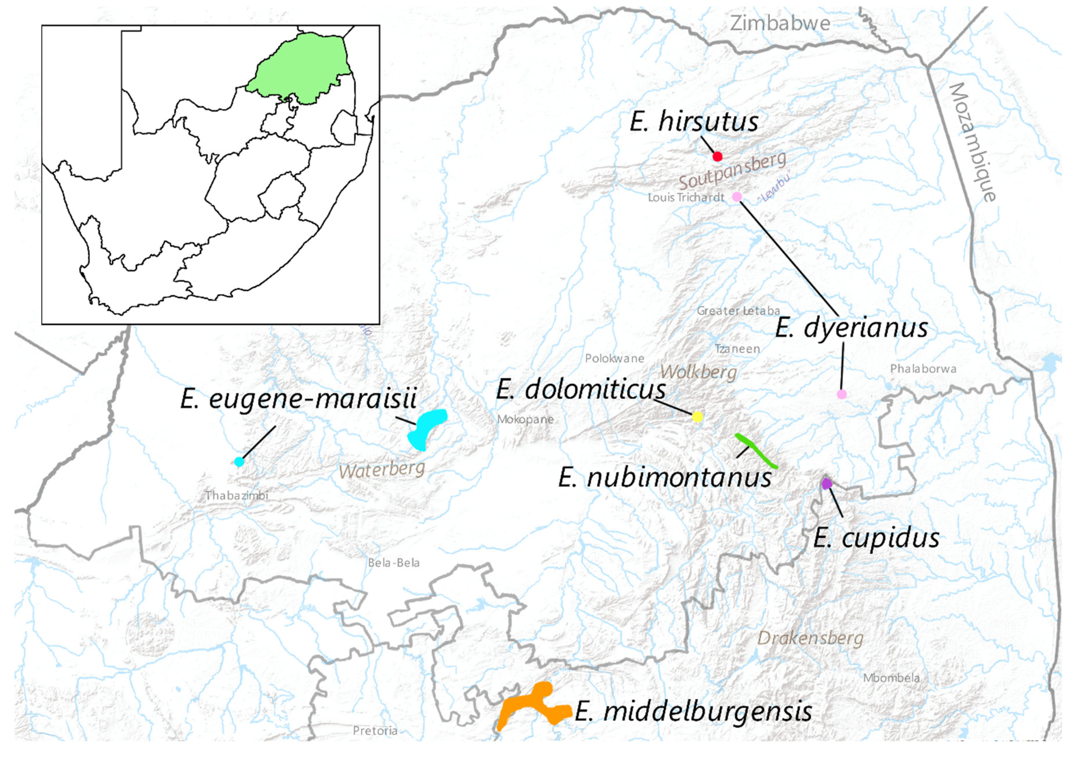 Preprints 111988 g001