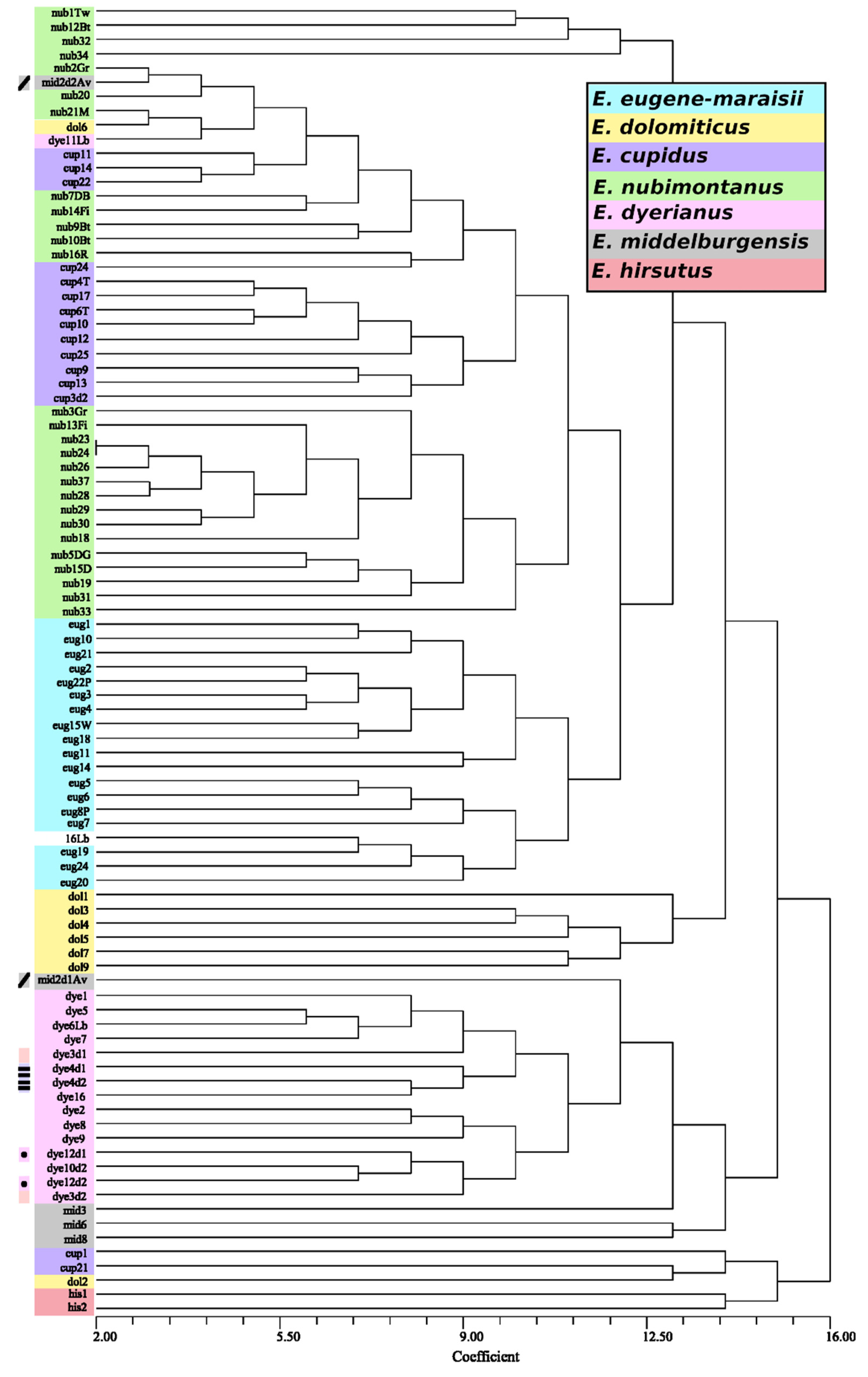 Preprints 111988 g004