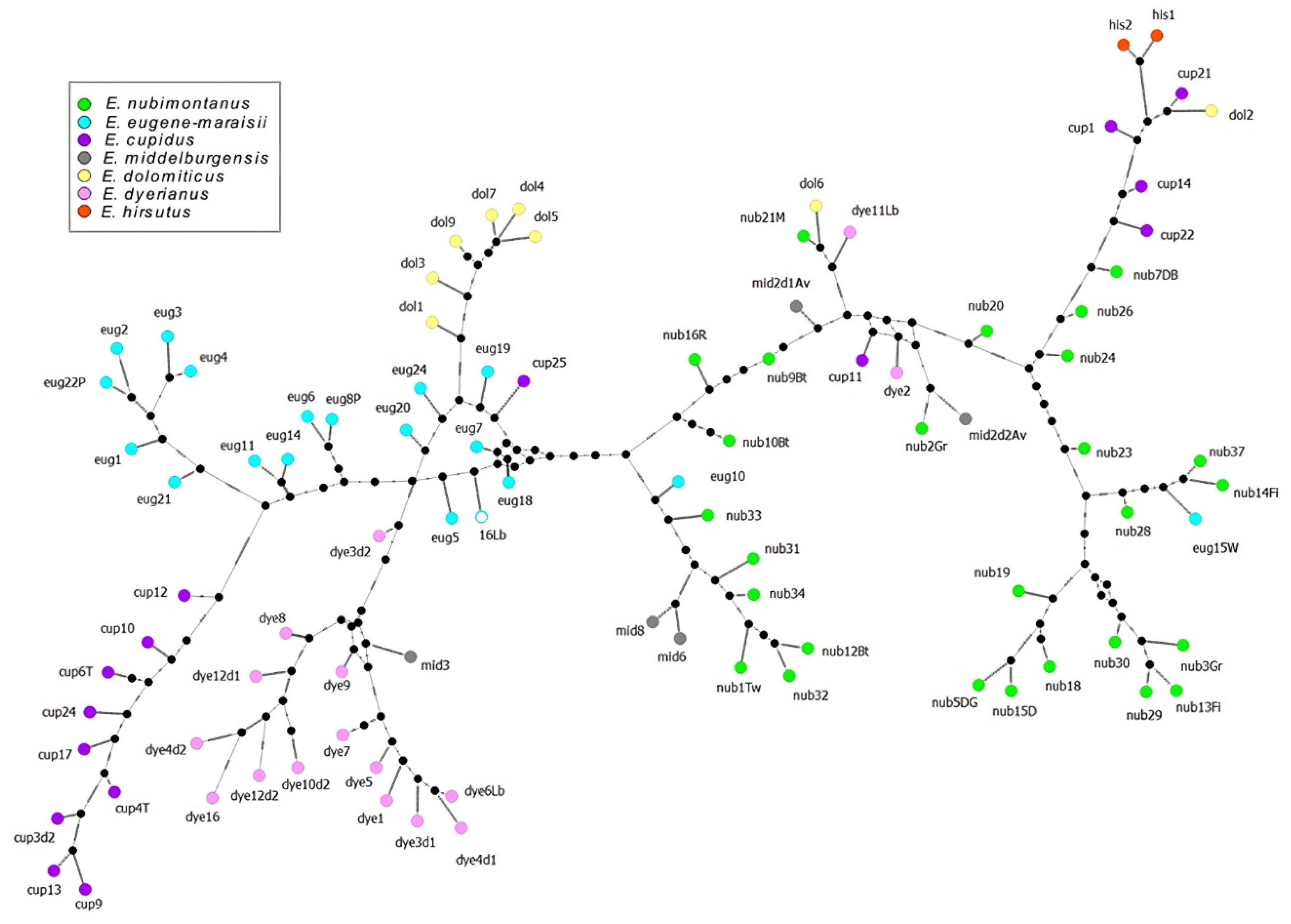 Preprints 111988 g005