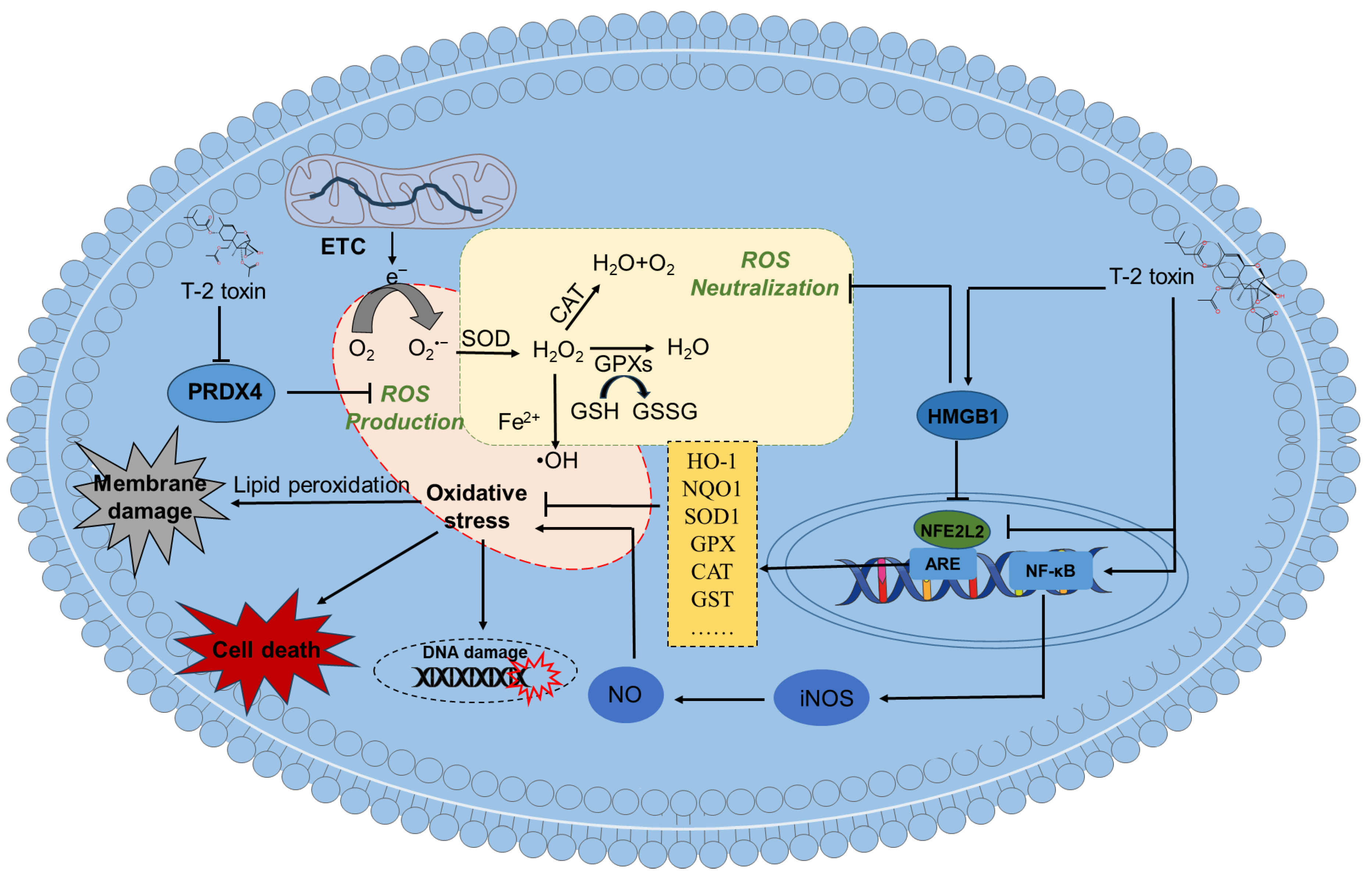 Preprints 197318 g002