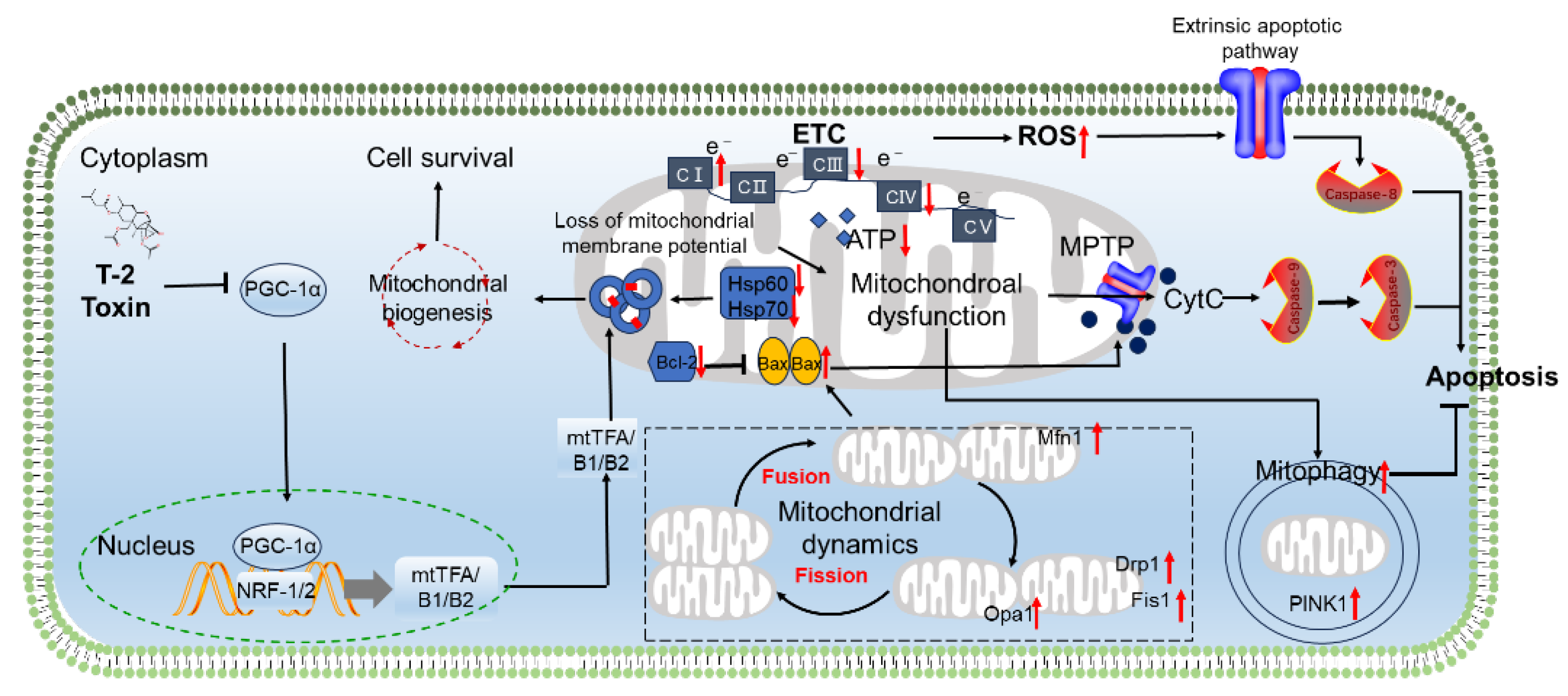Preprints 197318 g003