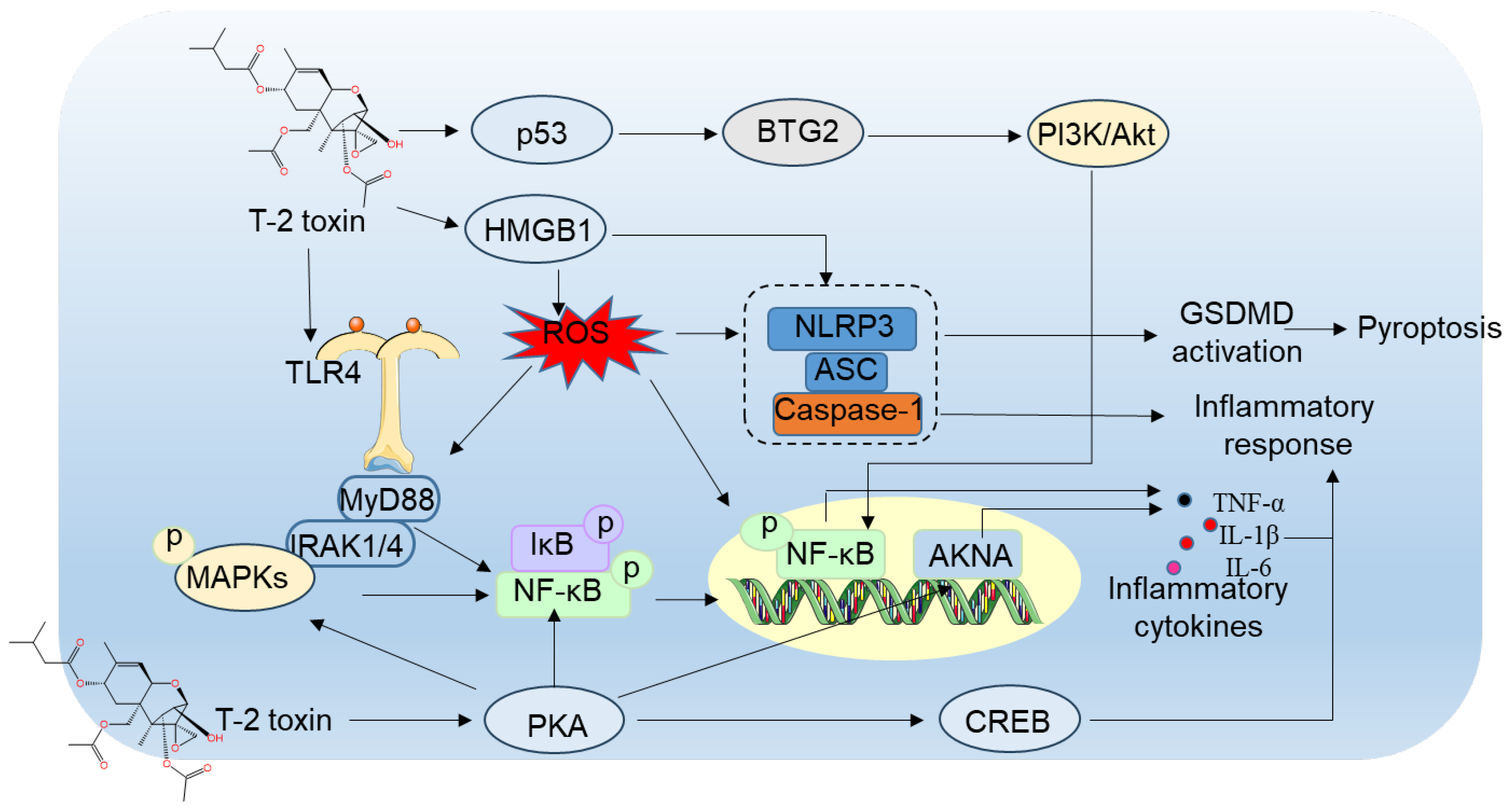 Preprints 197318 g004